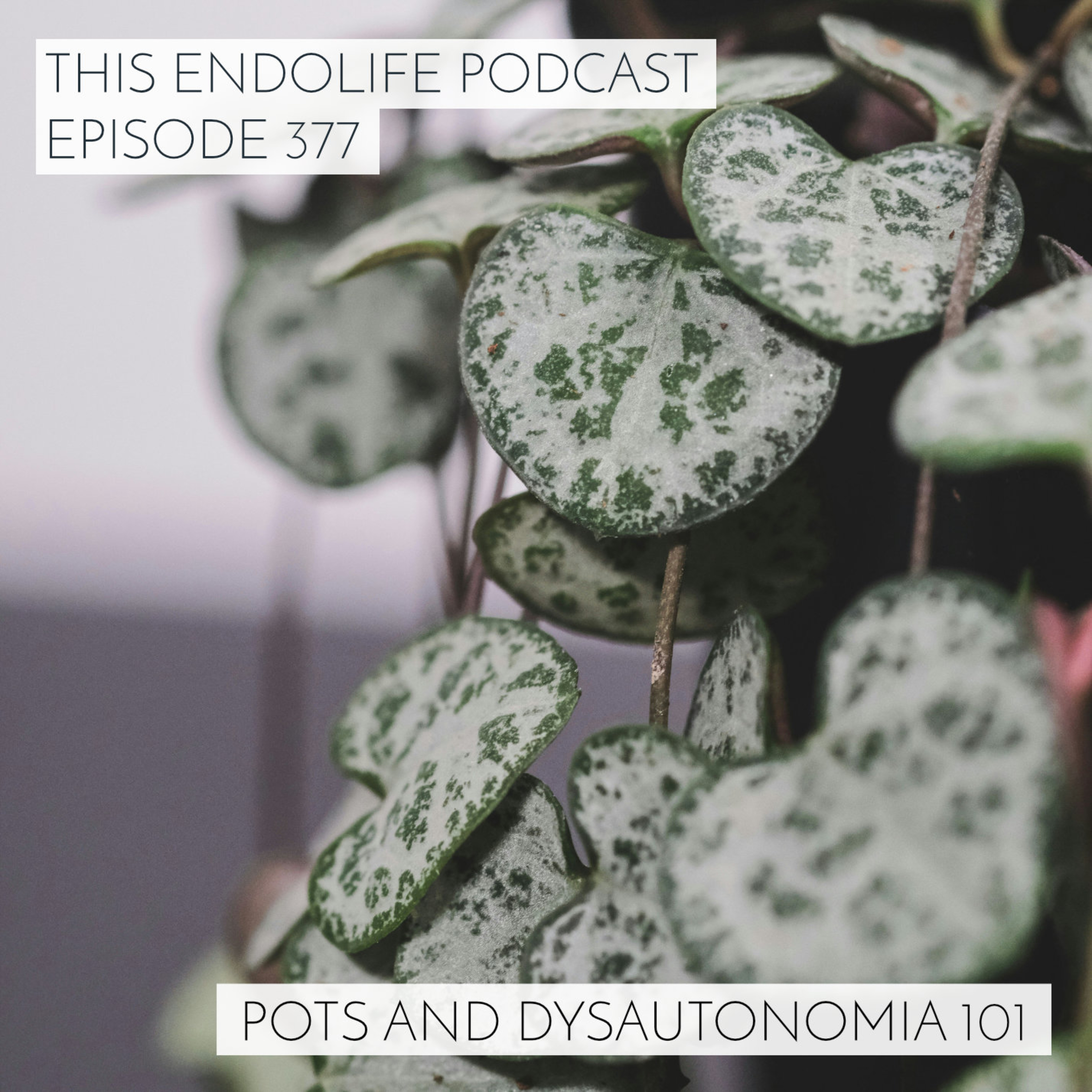 POTS and Dysautonomia 101