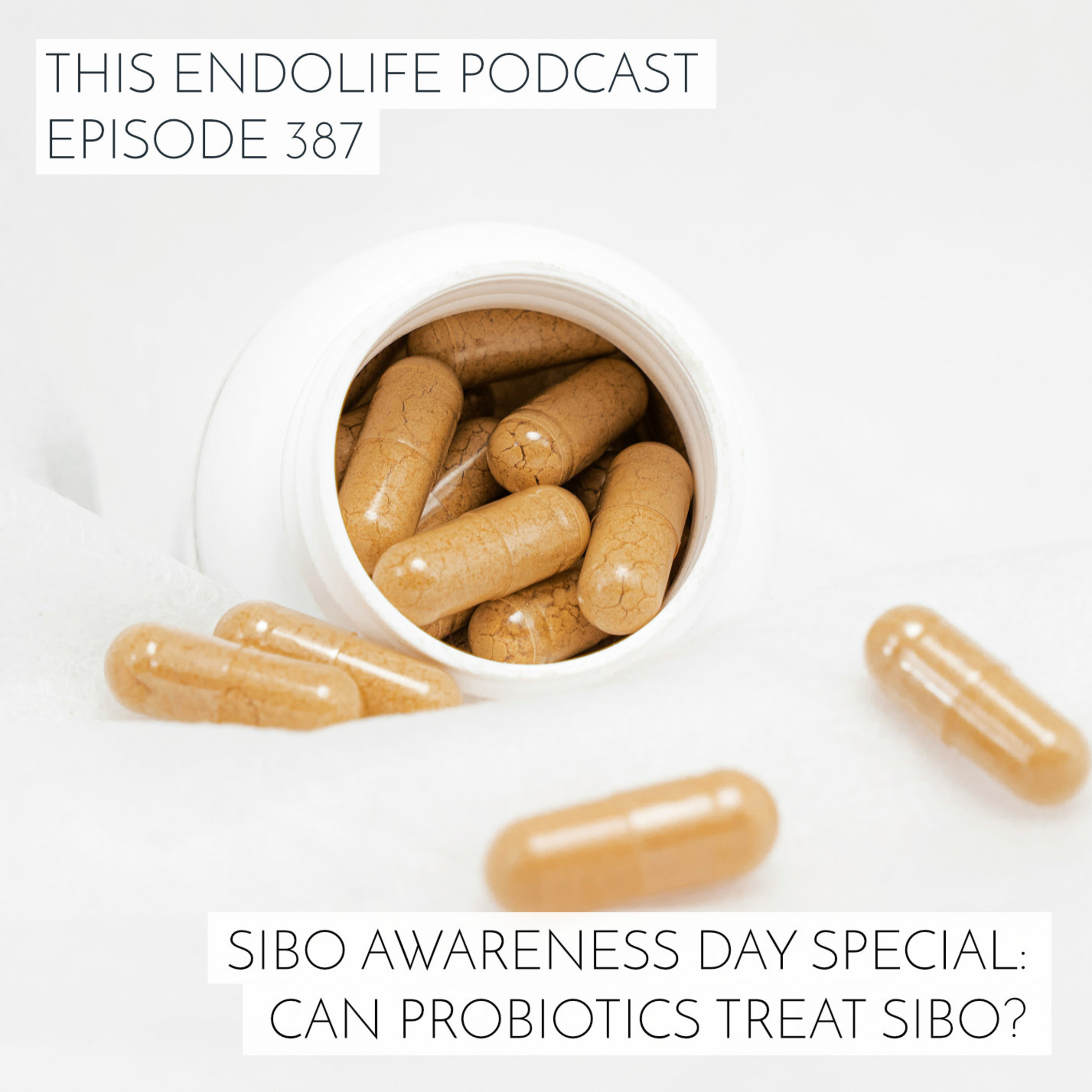 SIBO Awareness Day Special: Can Probiotics Treat SIBO?