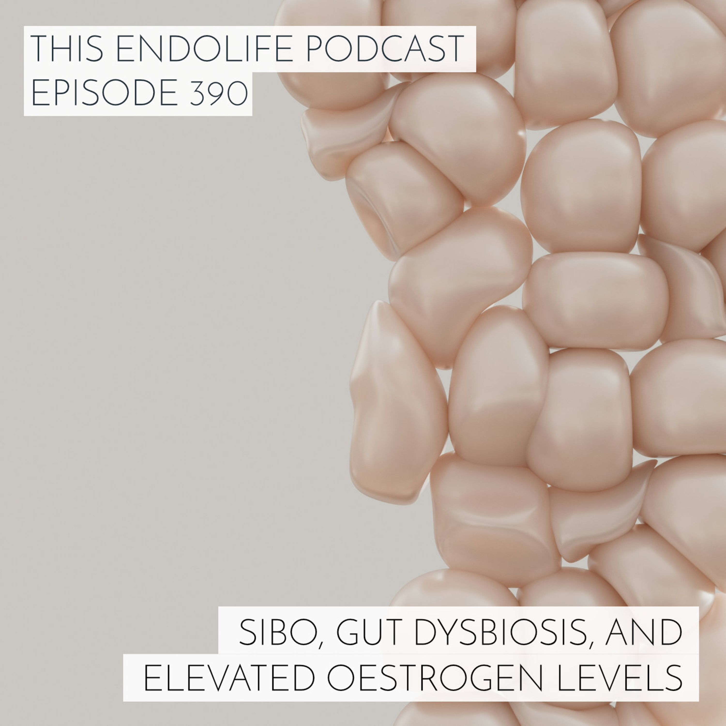 SIBO, Gut Dysbiosis, and Elevated Oestrogen Levels