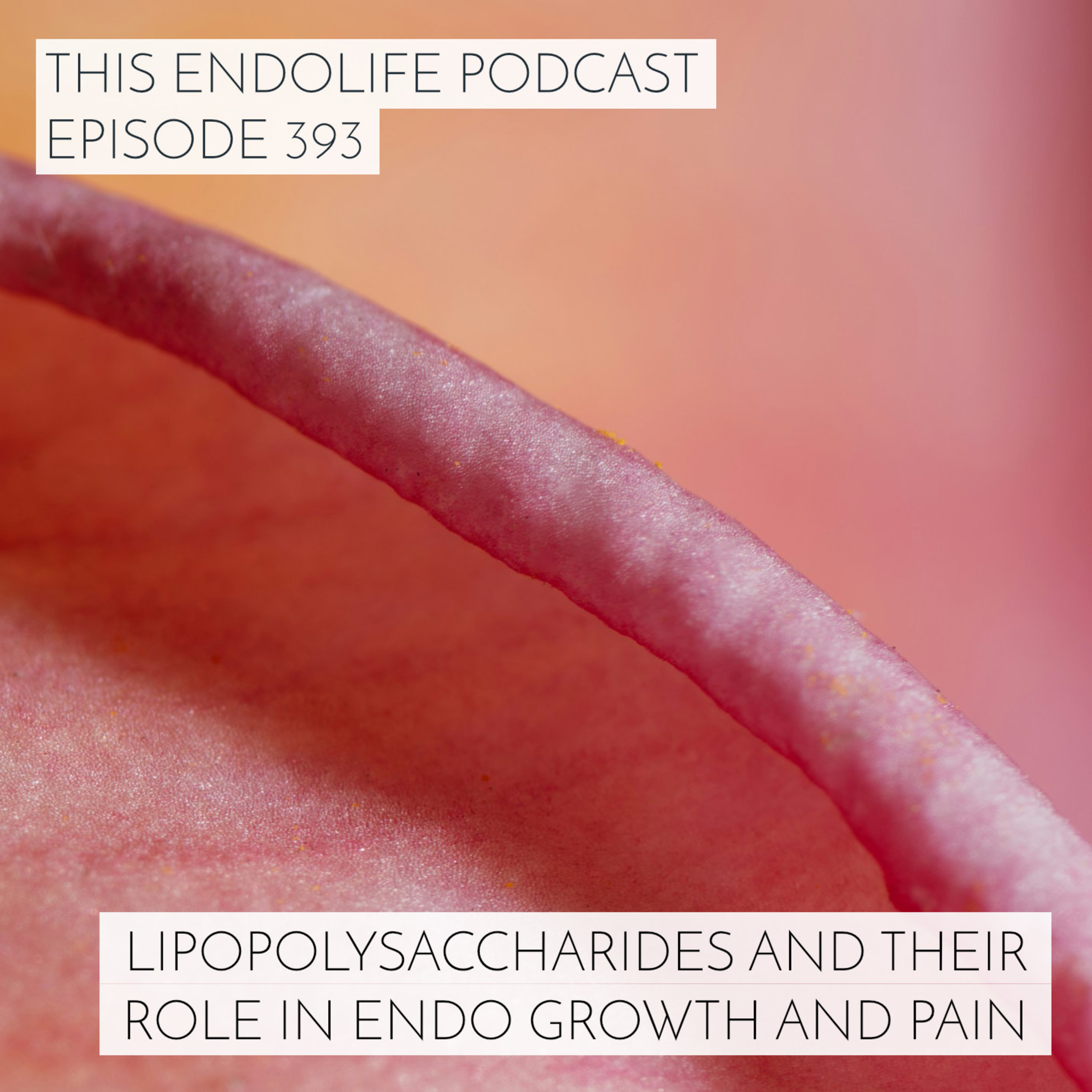 What Are Lipopolysaccharides and What’s Their Role in Endometriosis Growth and Pain?
