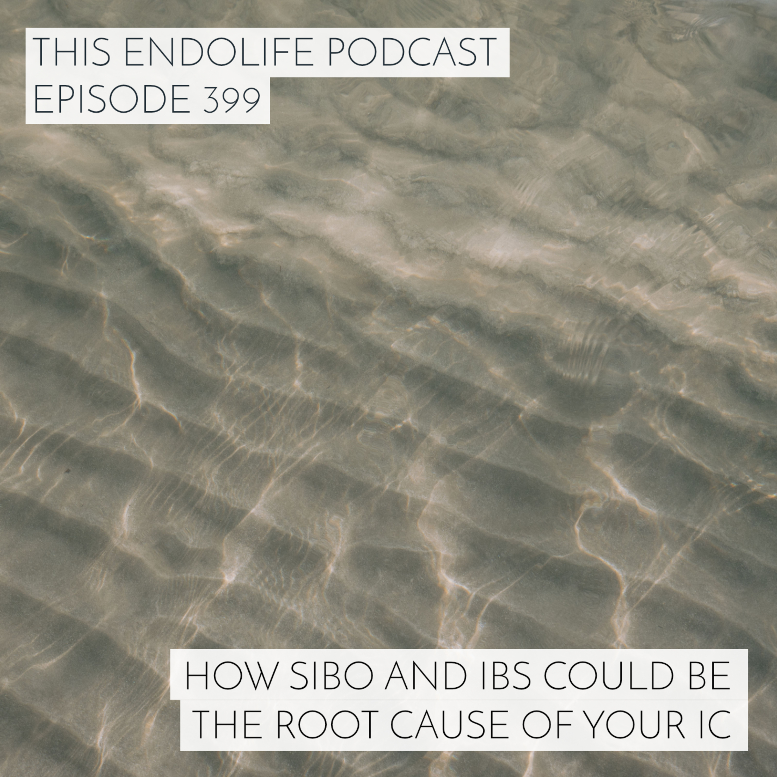 How SIBO and IBS Could Be the Root Cause of Your Interstitial Cystitis episode artwork