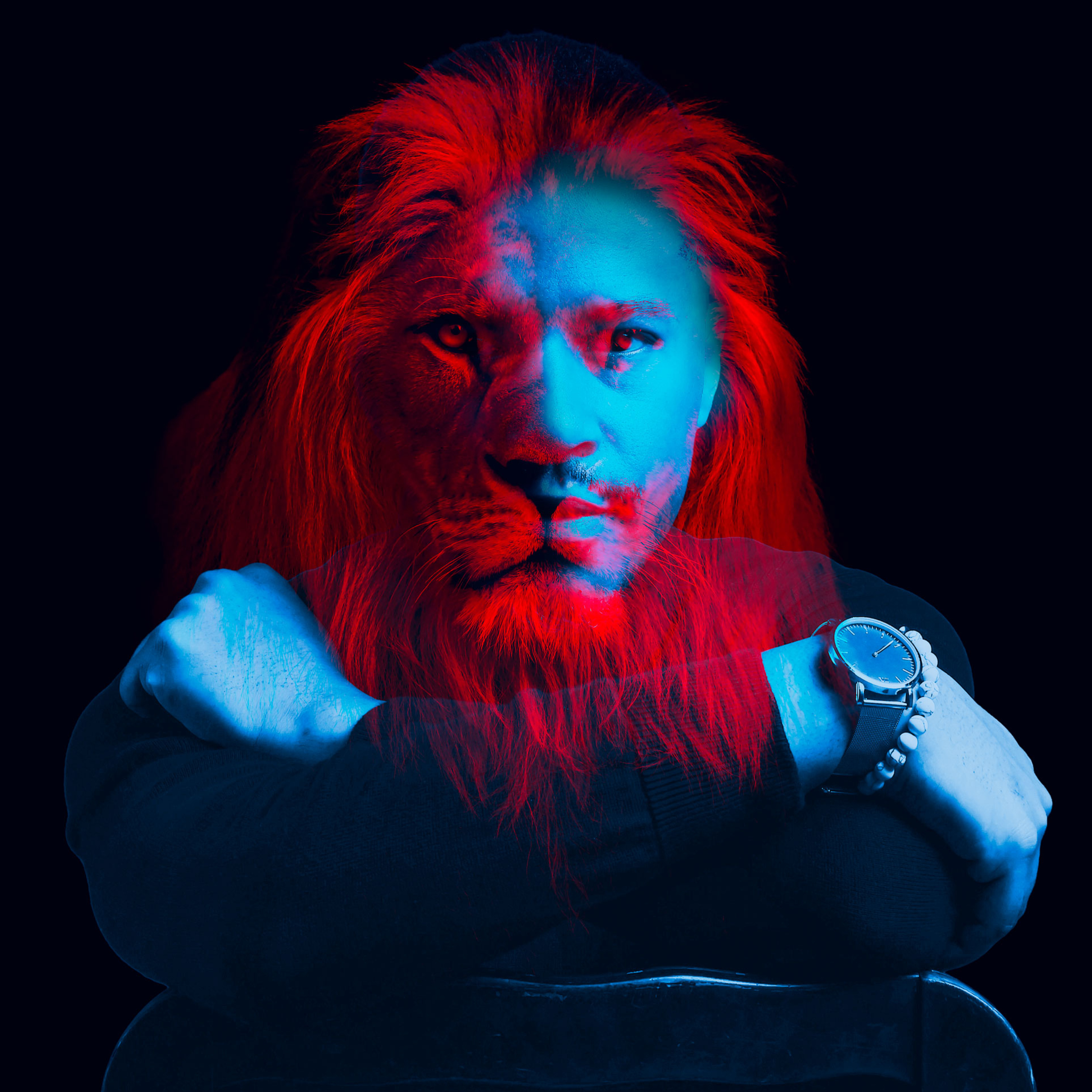 Steve episode artwork