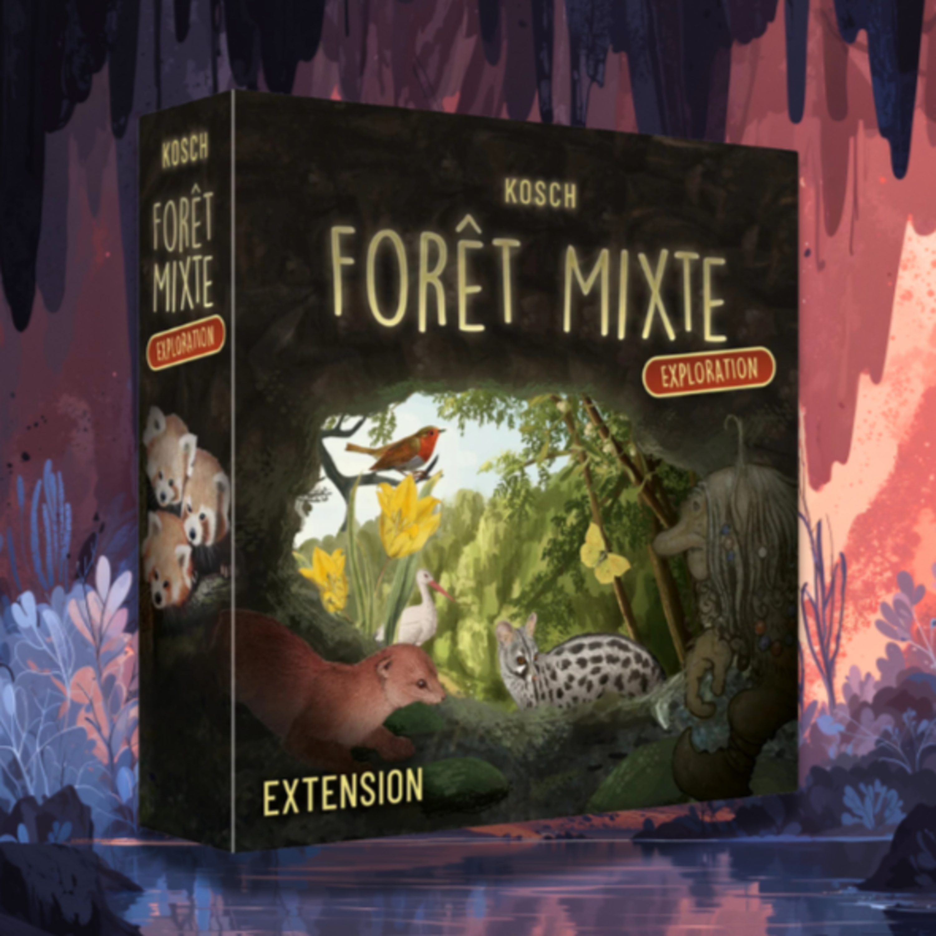 🦇 Forêt Mixte : Exploration. Les chauves sourient episode artwork