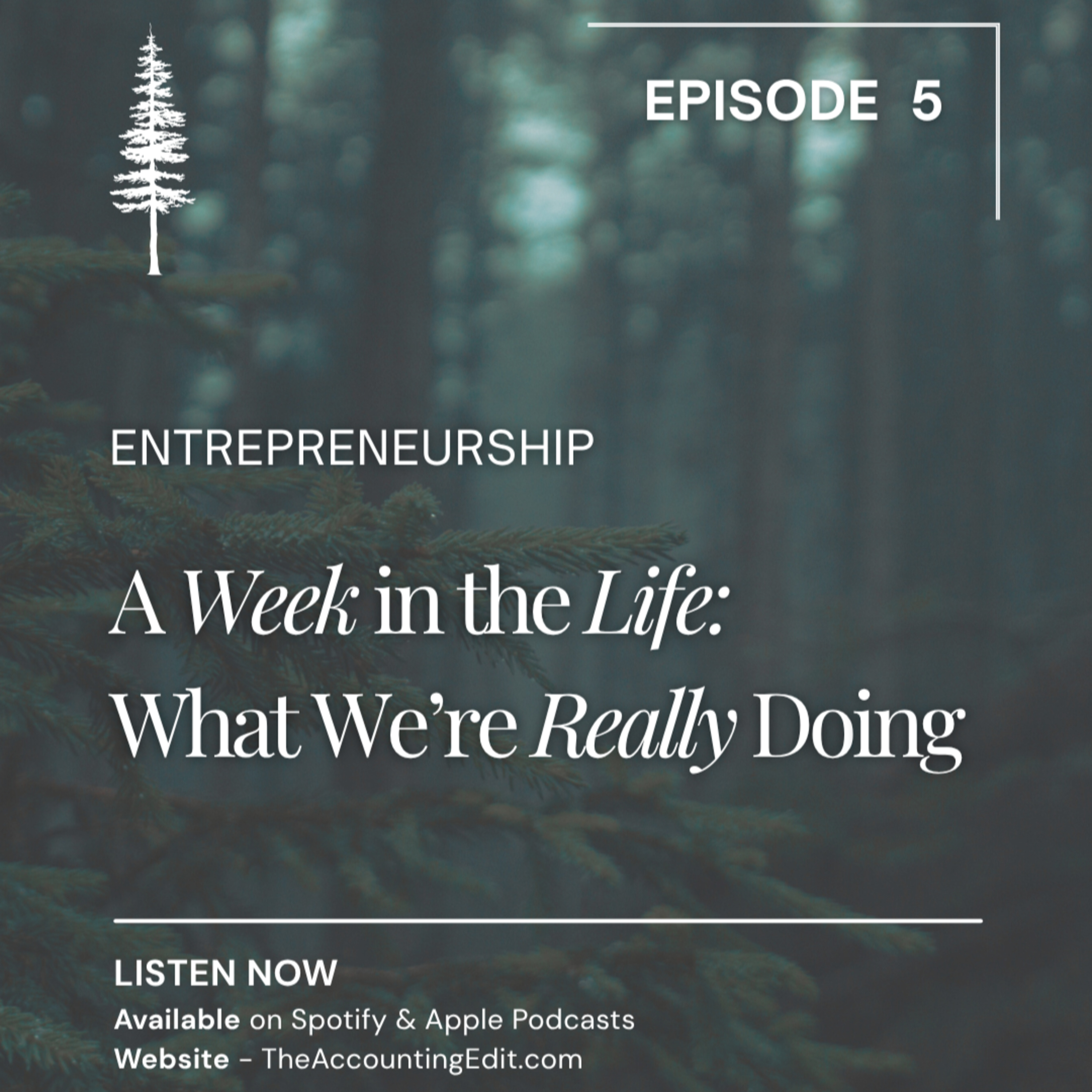 5. A Week in the Life: What We’re Really Doing
