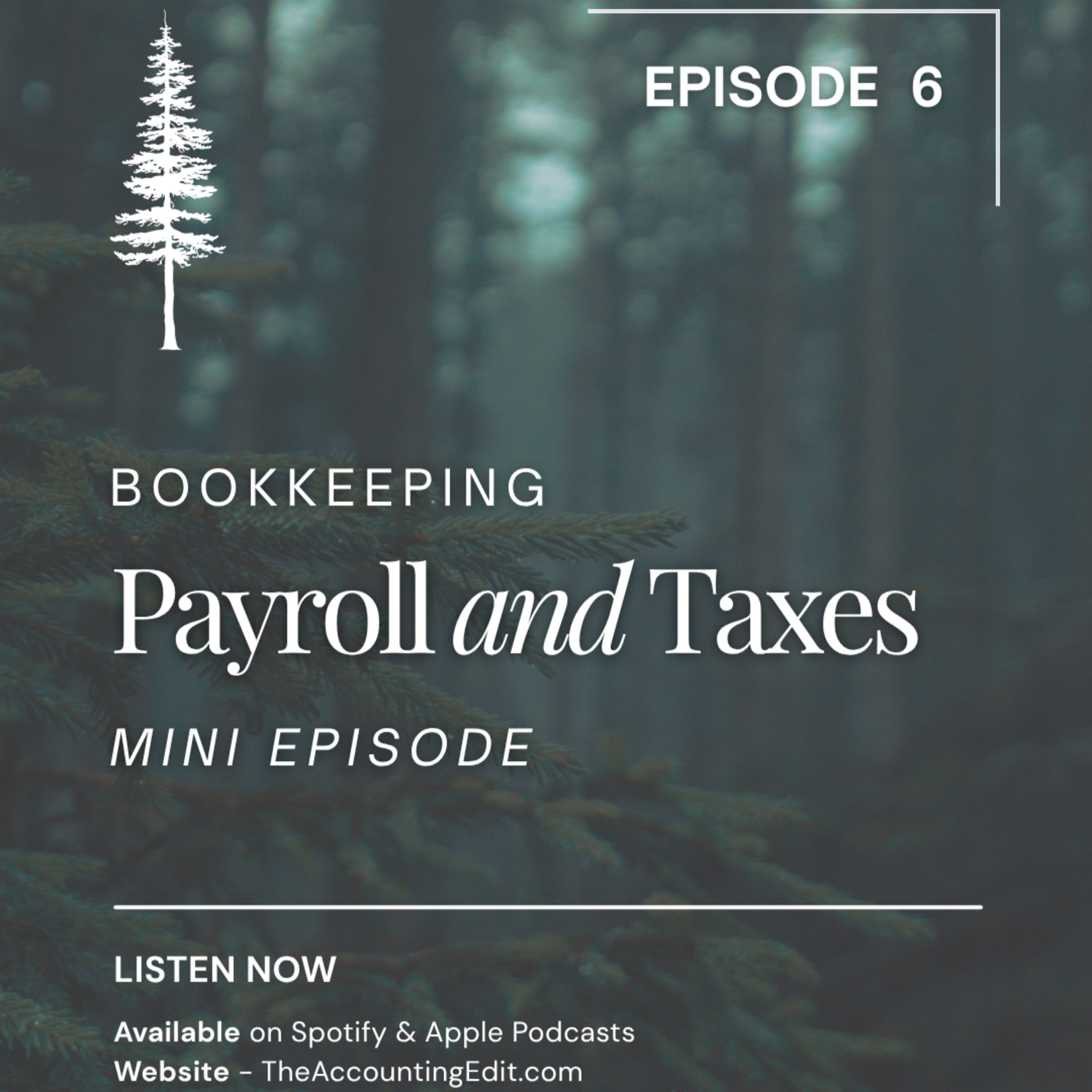 6. Bookkeeping – Payroll and Taxes