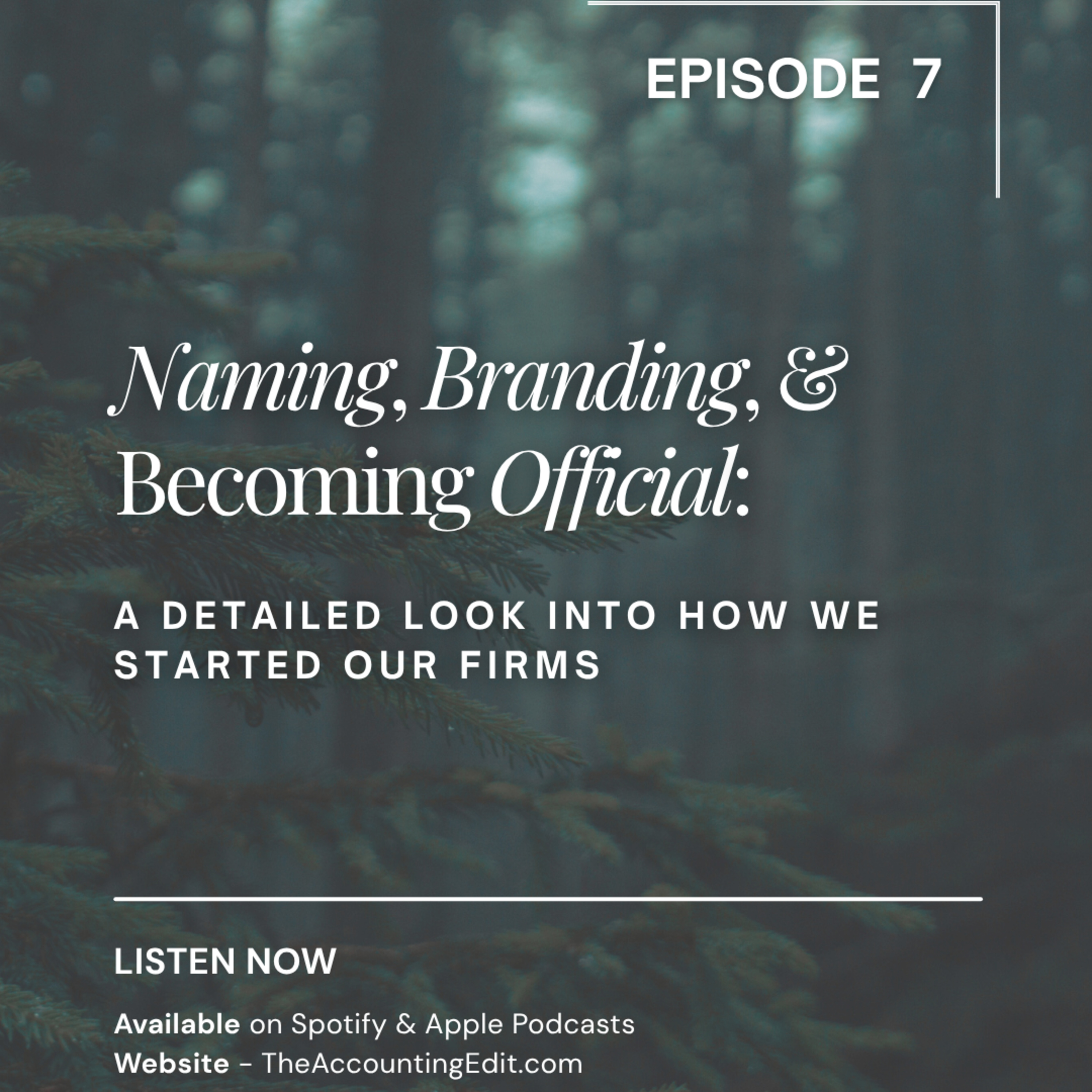 7. Naming, branding, and becoming official: A detailed look into how we started our firms