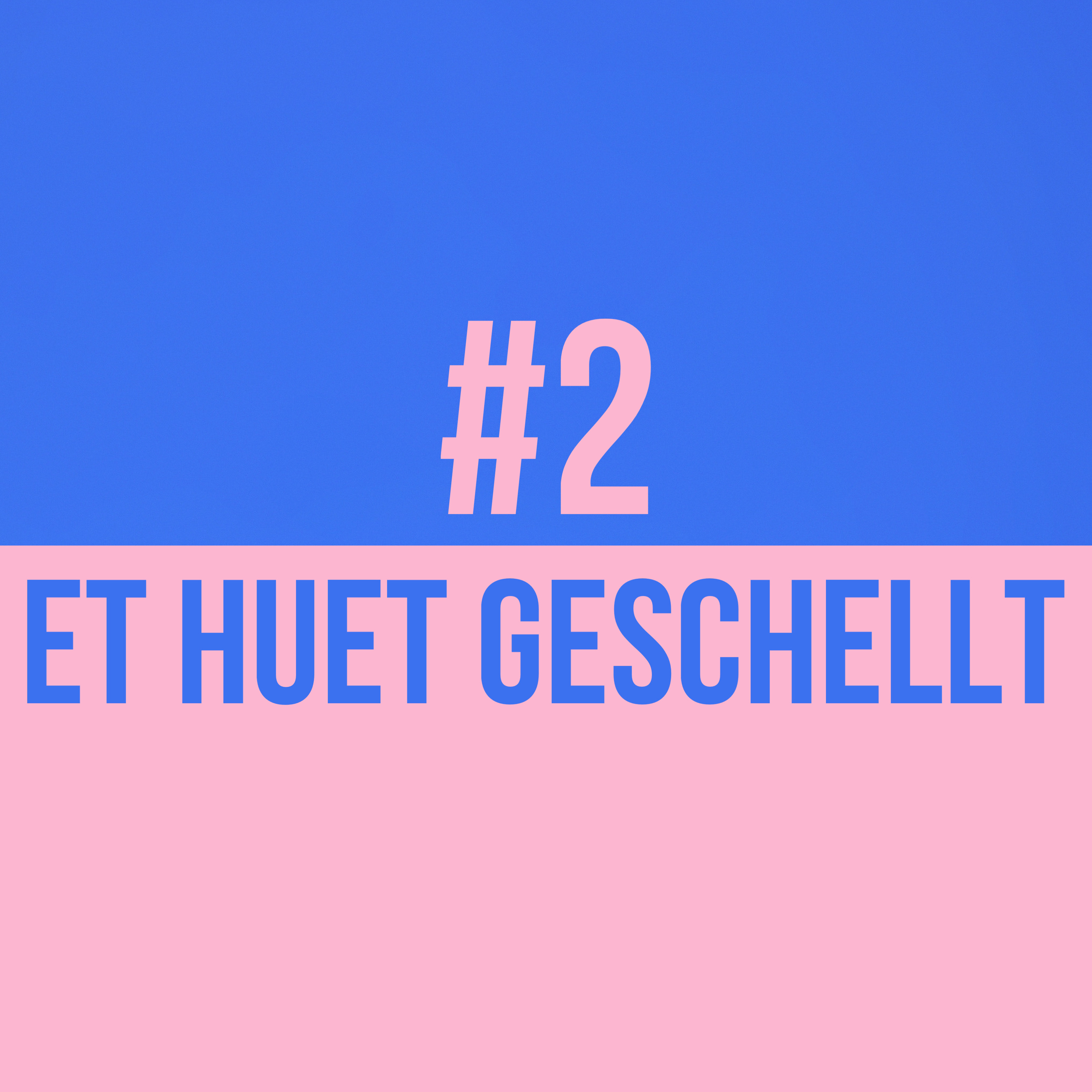 WEEN HUET GEFROT? #2 - ET HUET GESCHELLT episode artwork