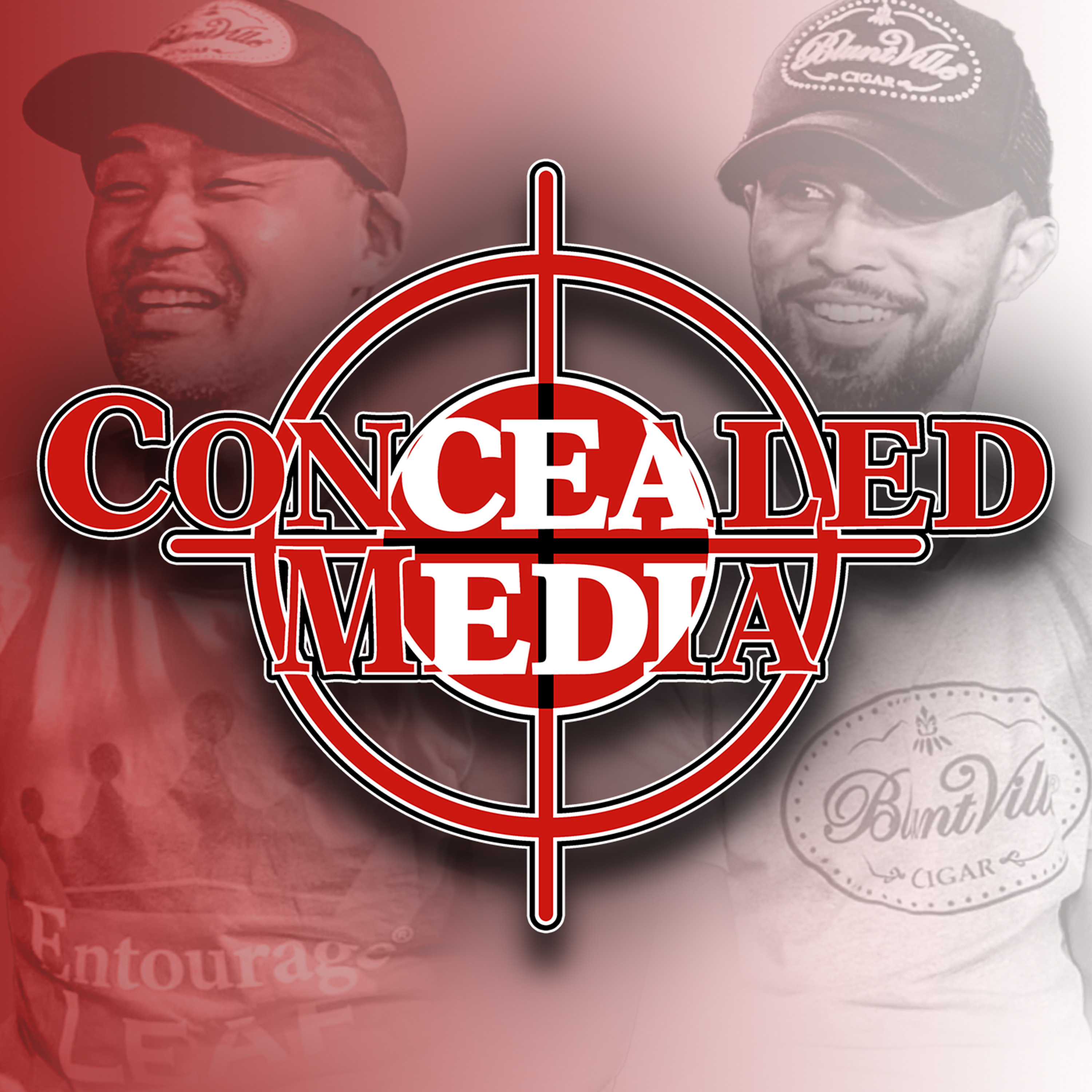 Concealed Media