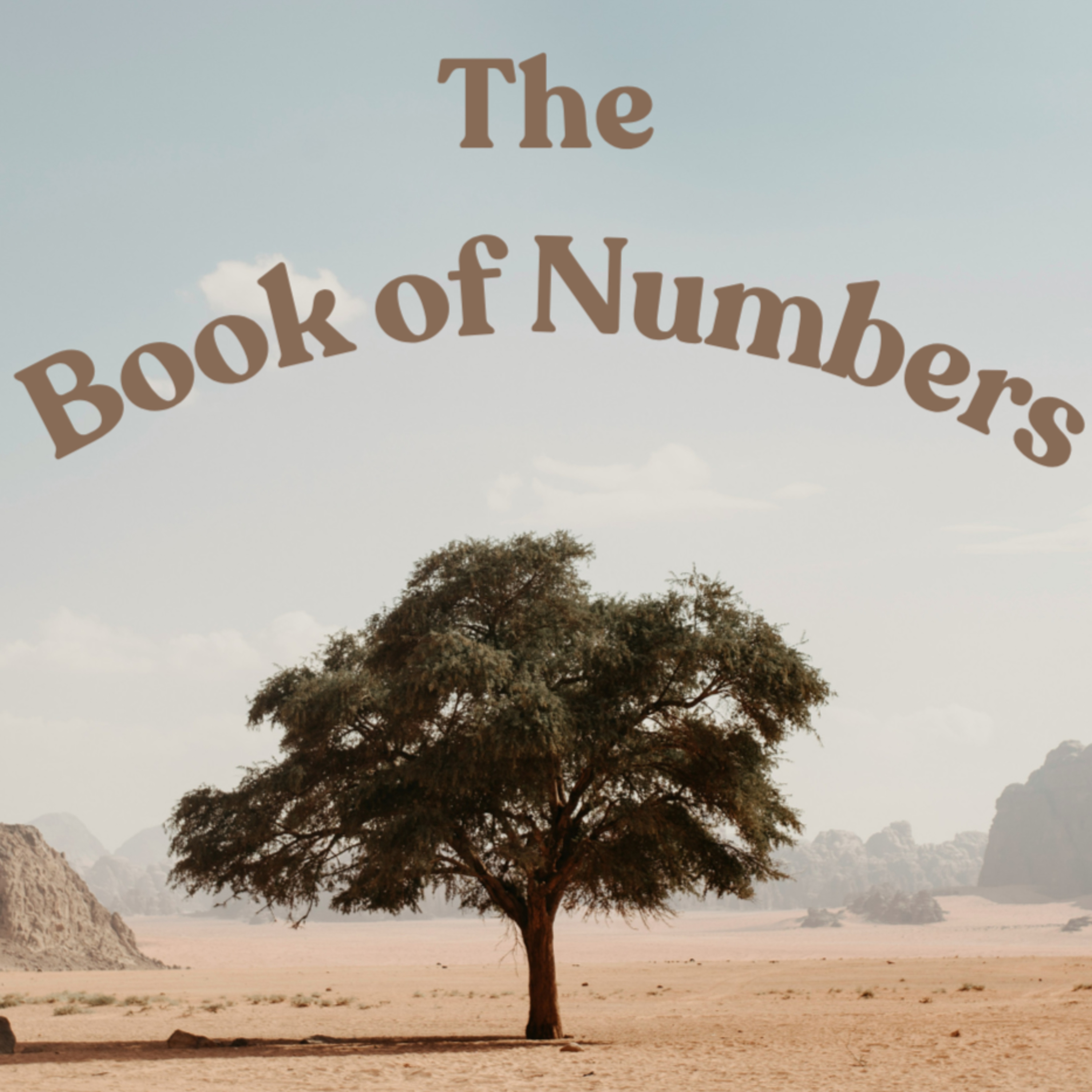 Numbers 12 episode artwork