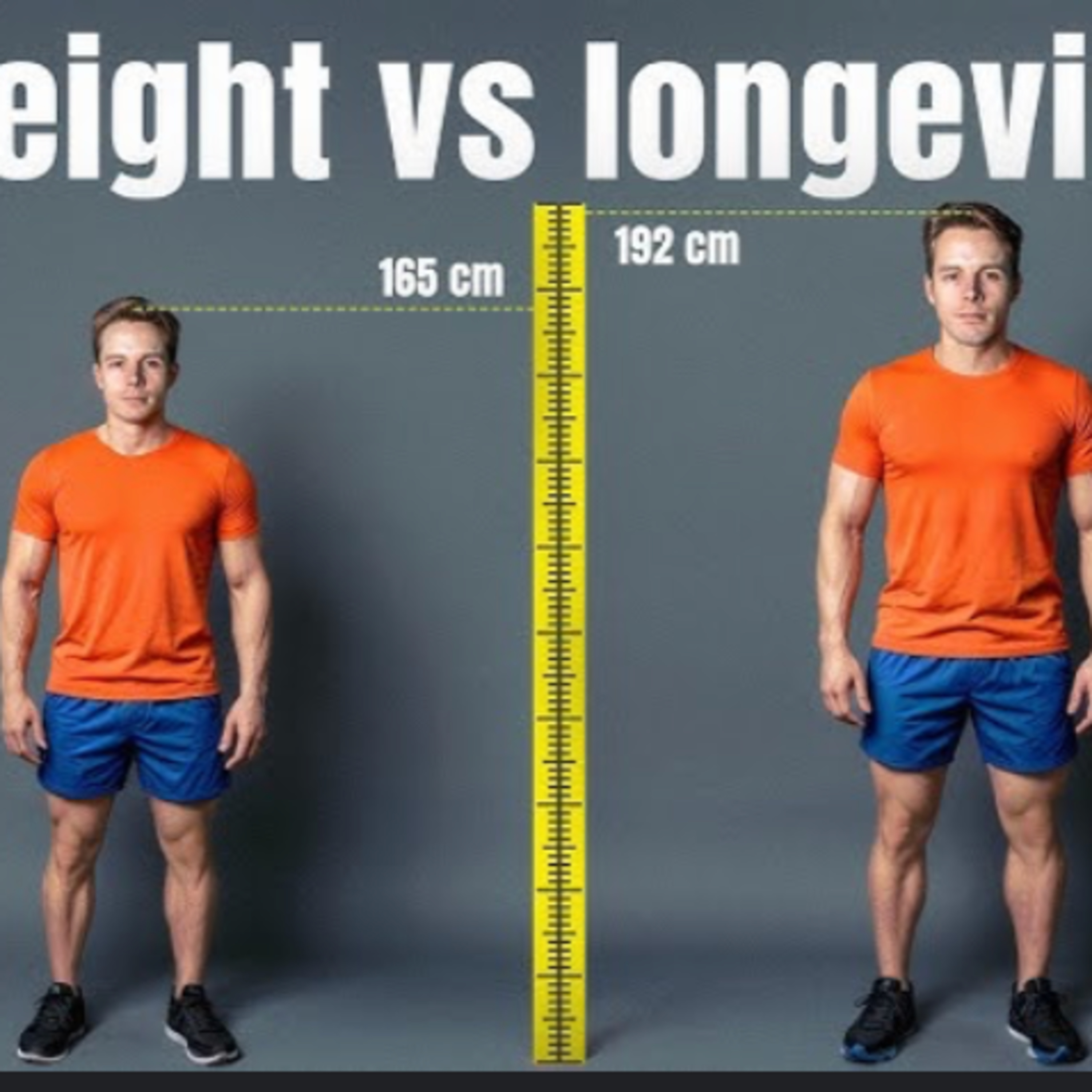 螢火蟲點燈 - 身高與壽命的關係 episode artwork