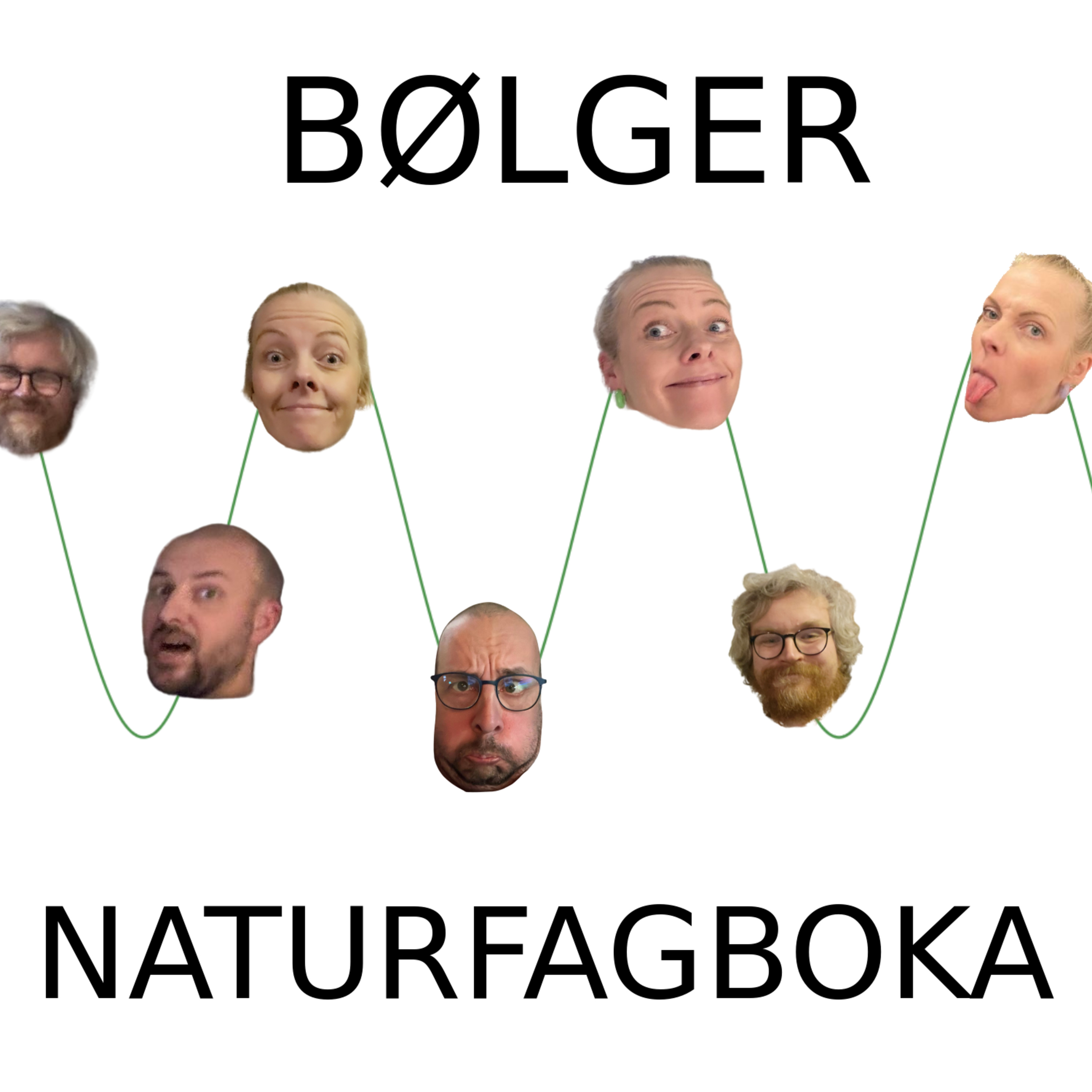 Naturfagboka