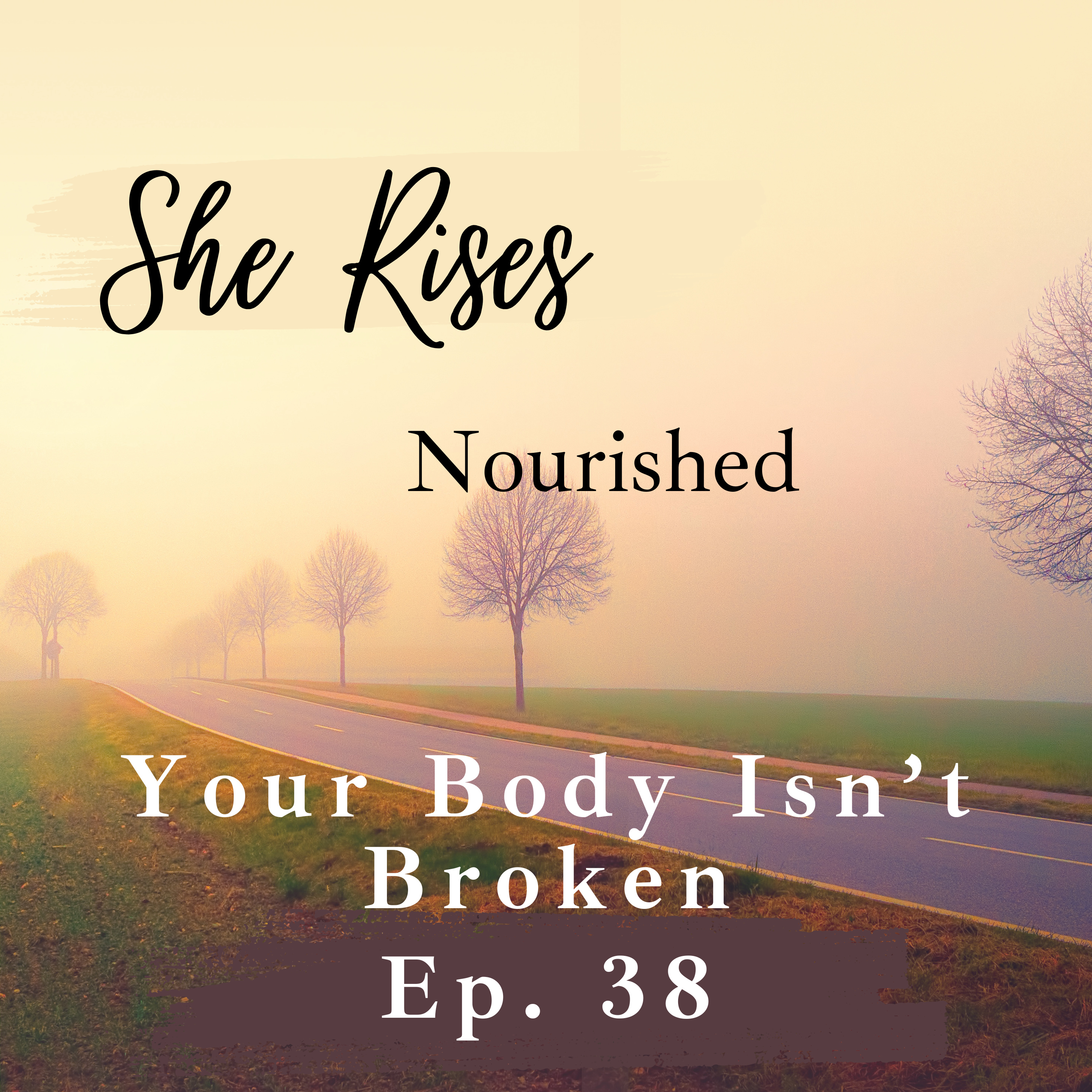 Ep. 38 | Your Body Isn't Broken | Morning Meditation for the Woman who is Tired of Fighting Herself episode artwork
