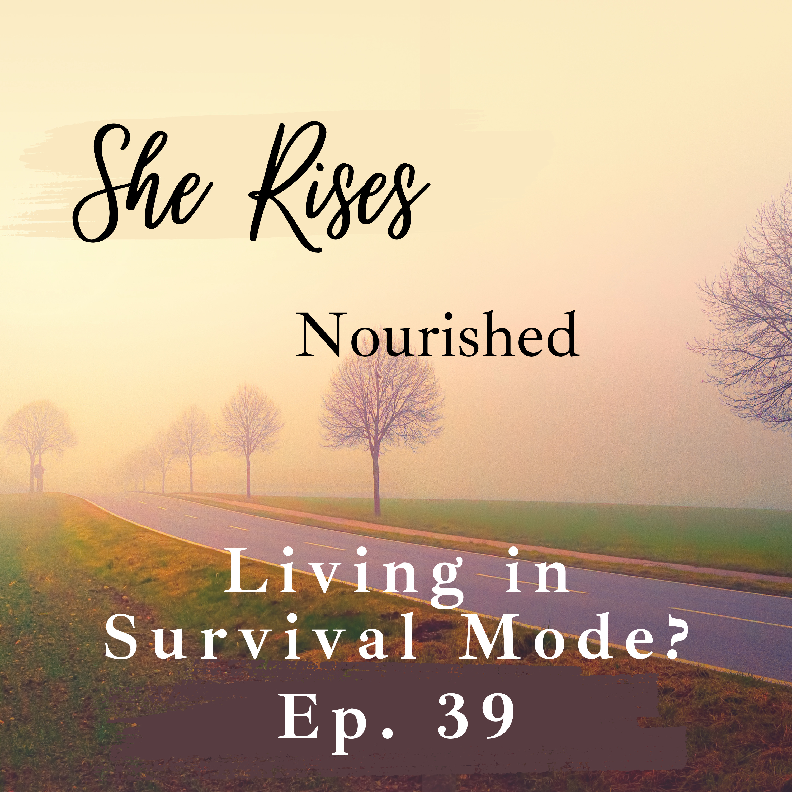 Ep. 39 | LIVING IN SURVIVAL MODE? | A Christian Morning Meditation for Stress & Anxiety episode artwork