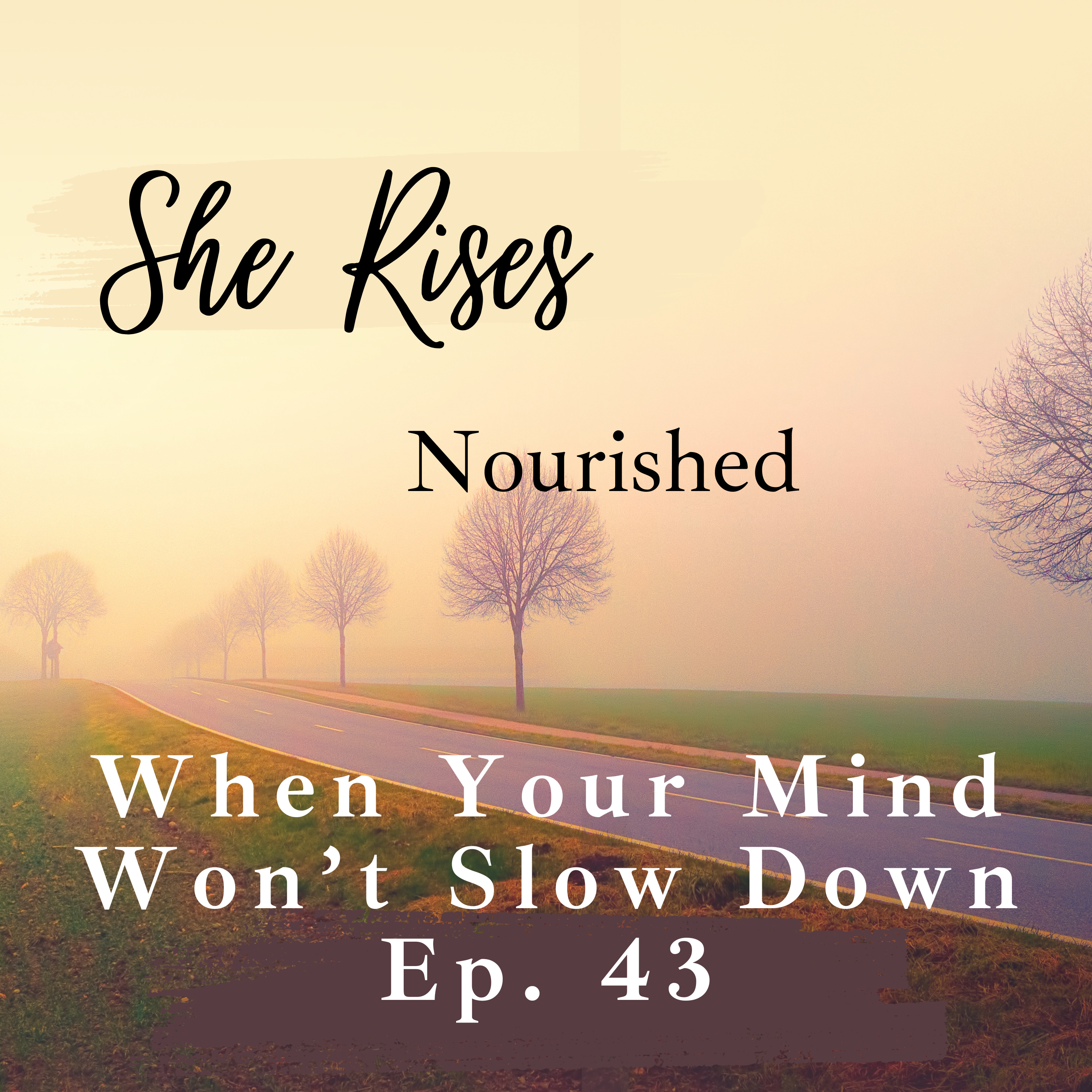 Ep. 43 | When Your Mind Won't Slow Down | Devotional Mediation for Women whose Minds are Racing episode artwork