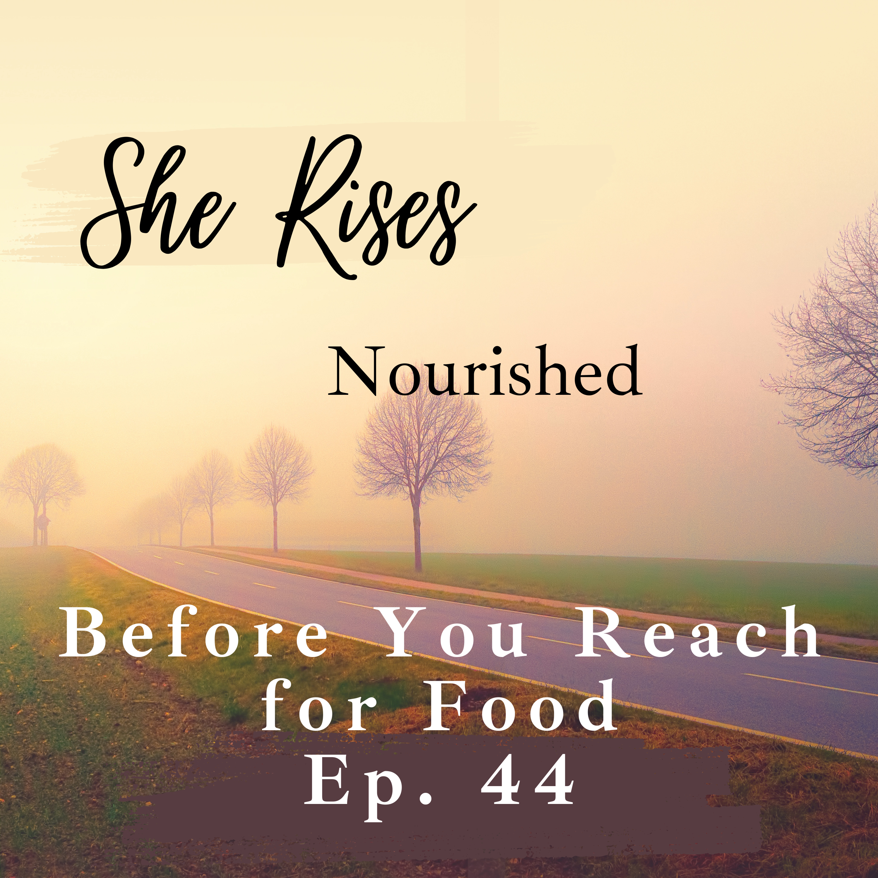 Ep. 44 | Before You Reach for Food | Devotional Meditation for the Woman Overwhelmed by Cravings episode artwork