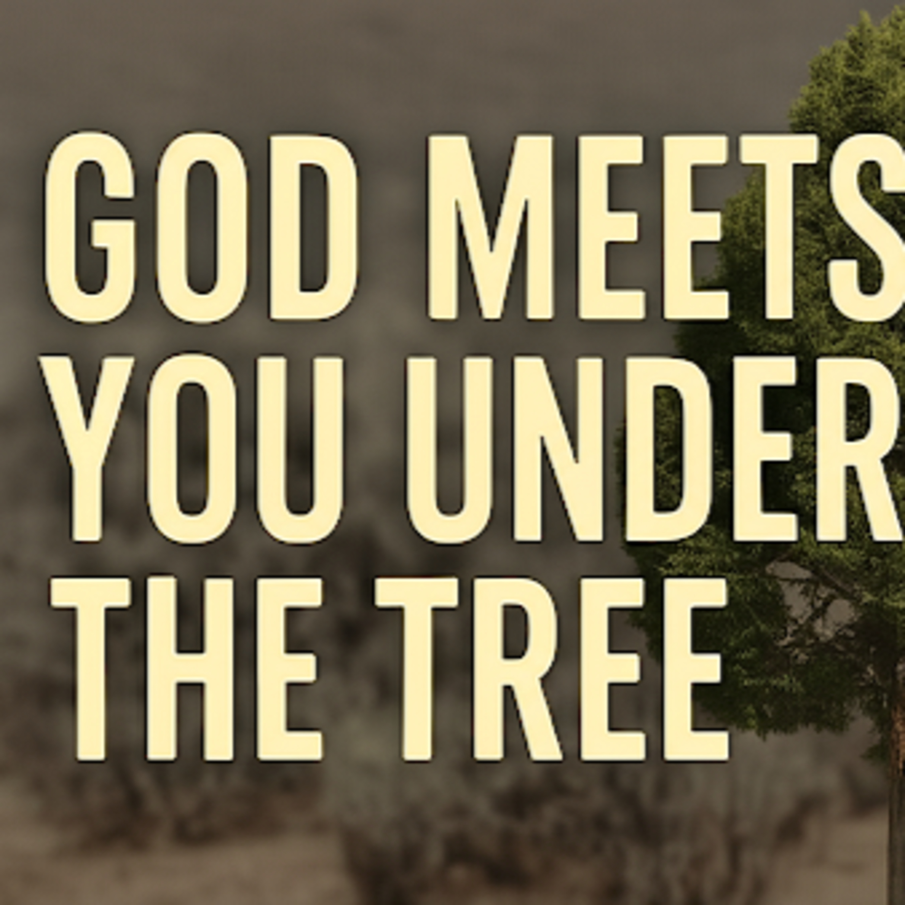 GOD WILL MEET YOU UNDER TREE - FINDING STRENGTH IN SEASONS OF SPIRITUAL EXHAUSTION episode artwork