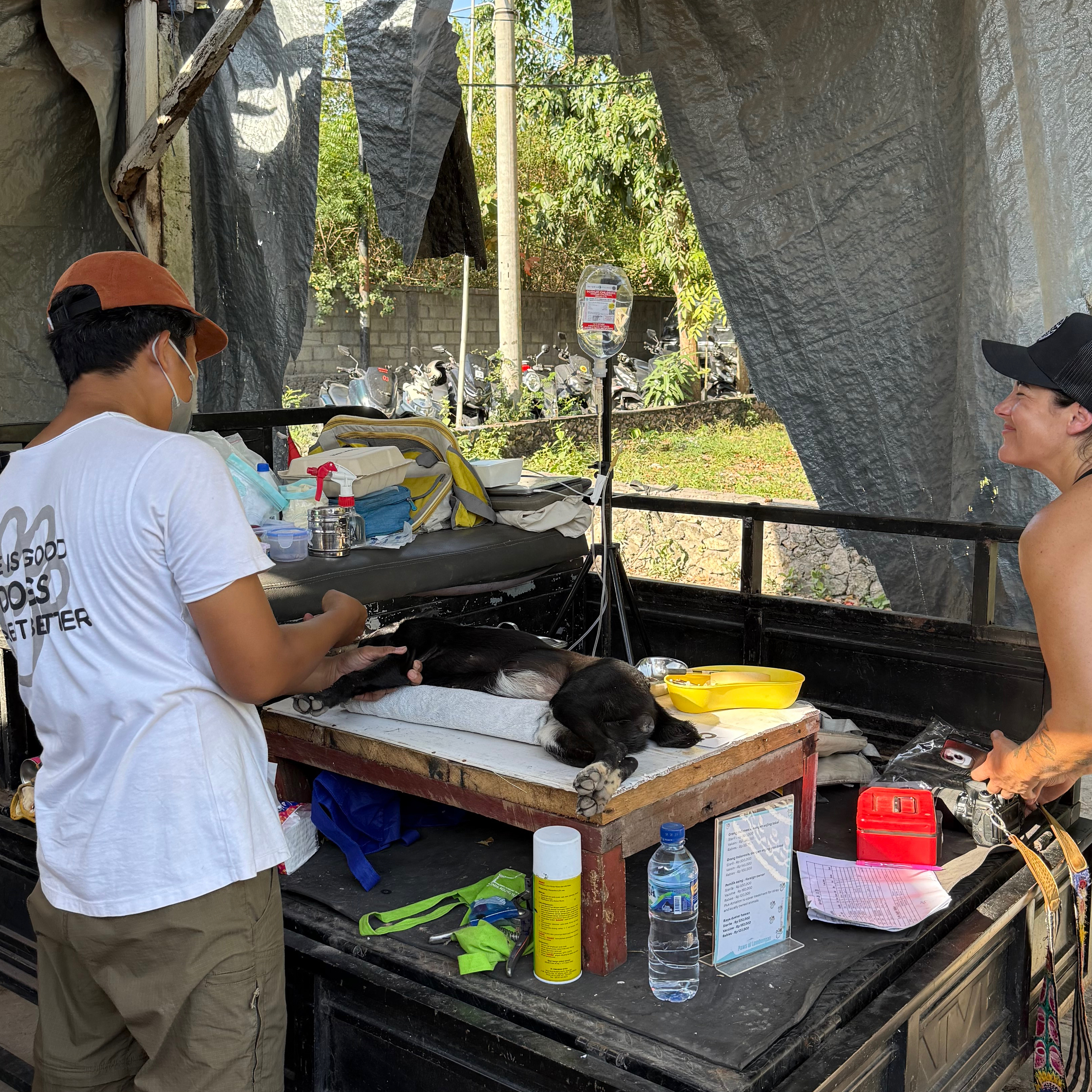 The Wandering Wild Podcast