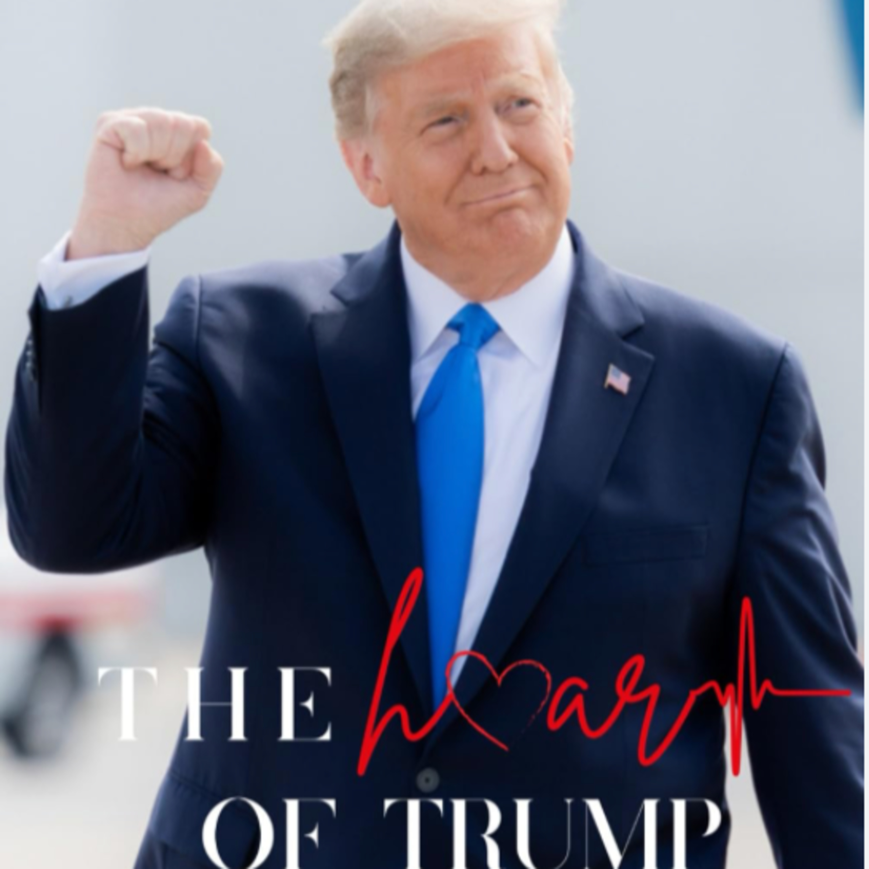 ホタルの光 -トランプ氏の隠れた善行 episode artwork