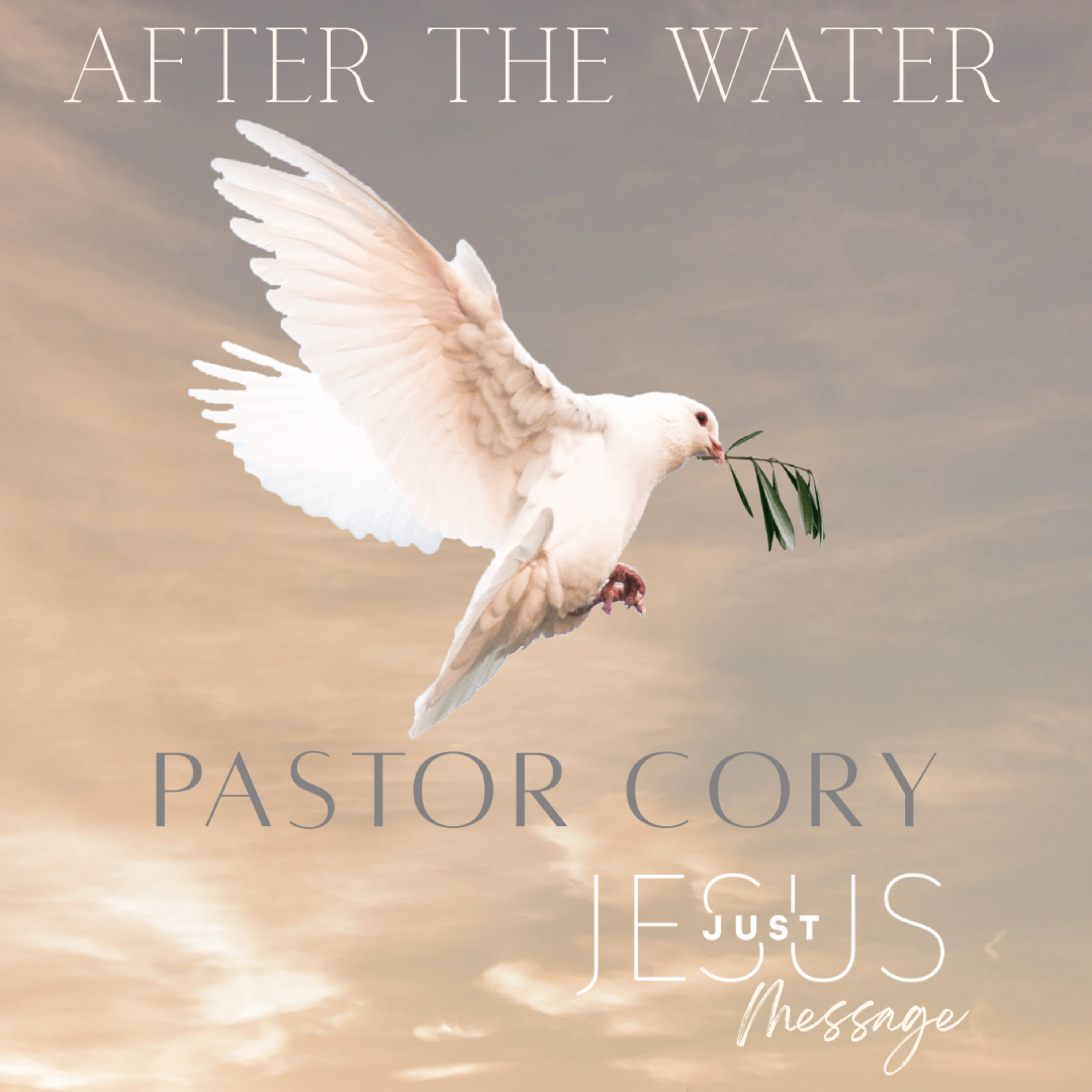 After the water episode artwork