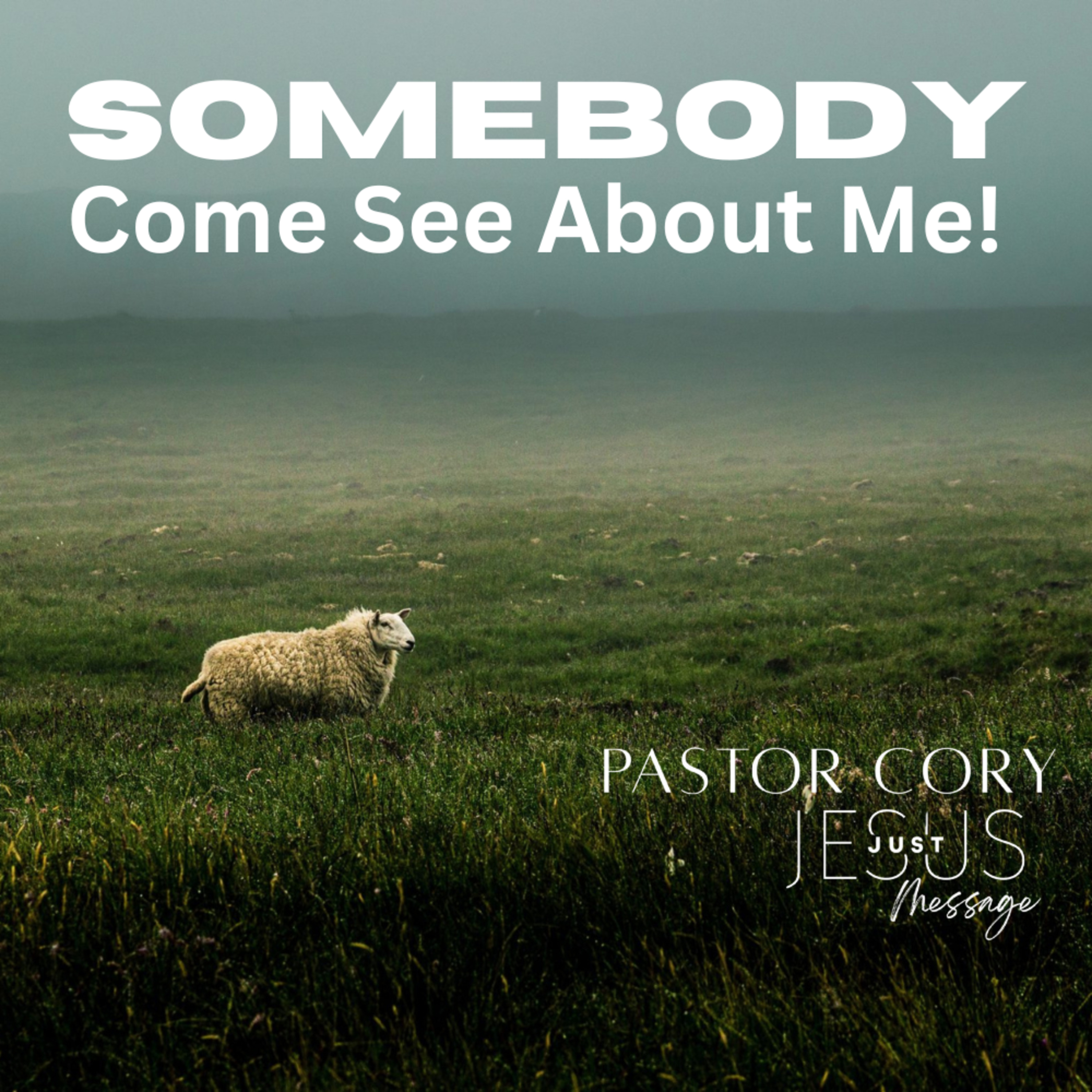 SOMEBODY Come See About Me! episode artwork