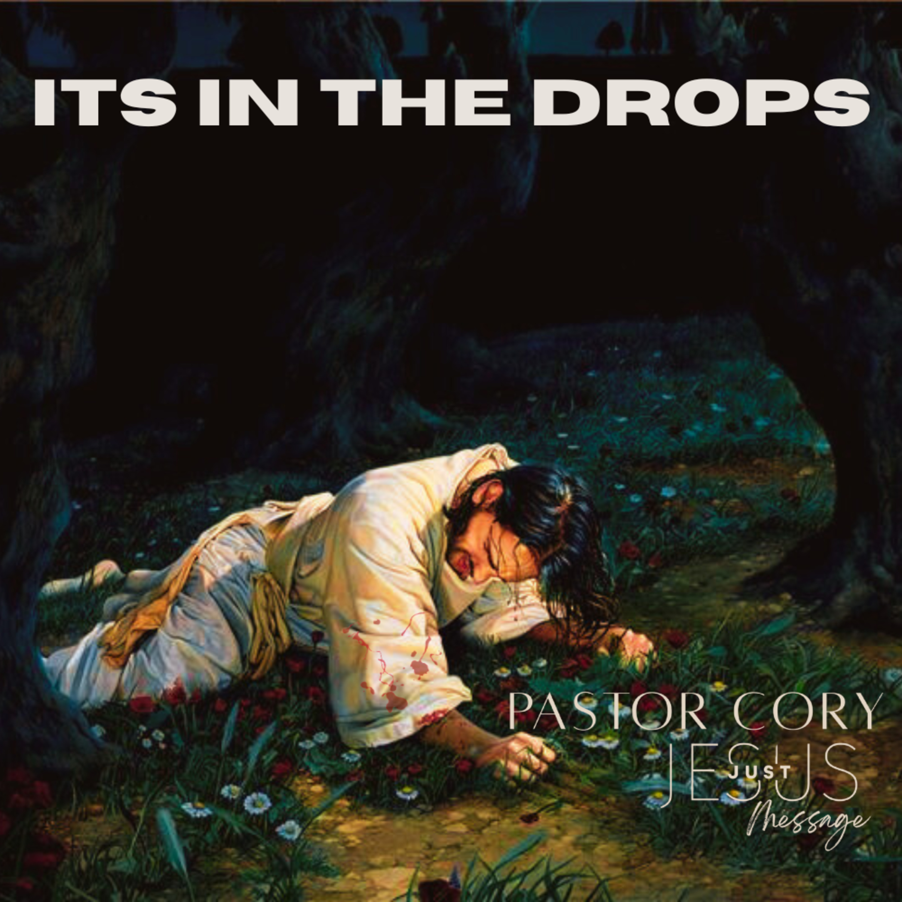 ITS IN THE DROPS episode artwork