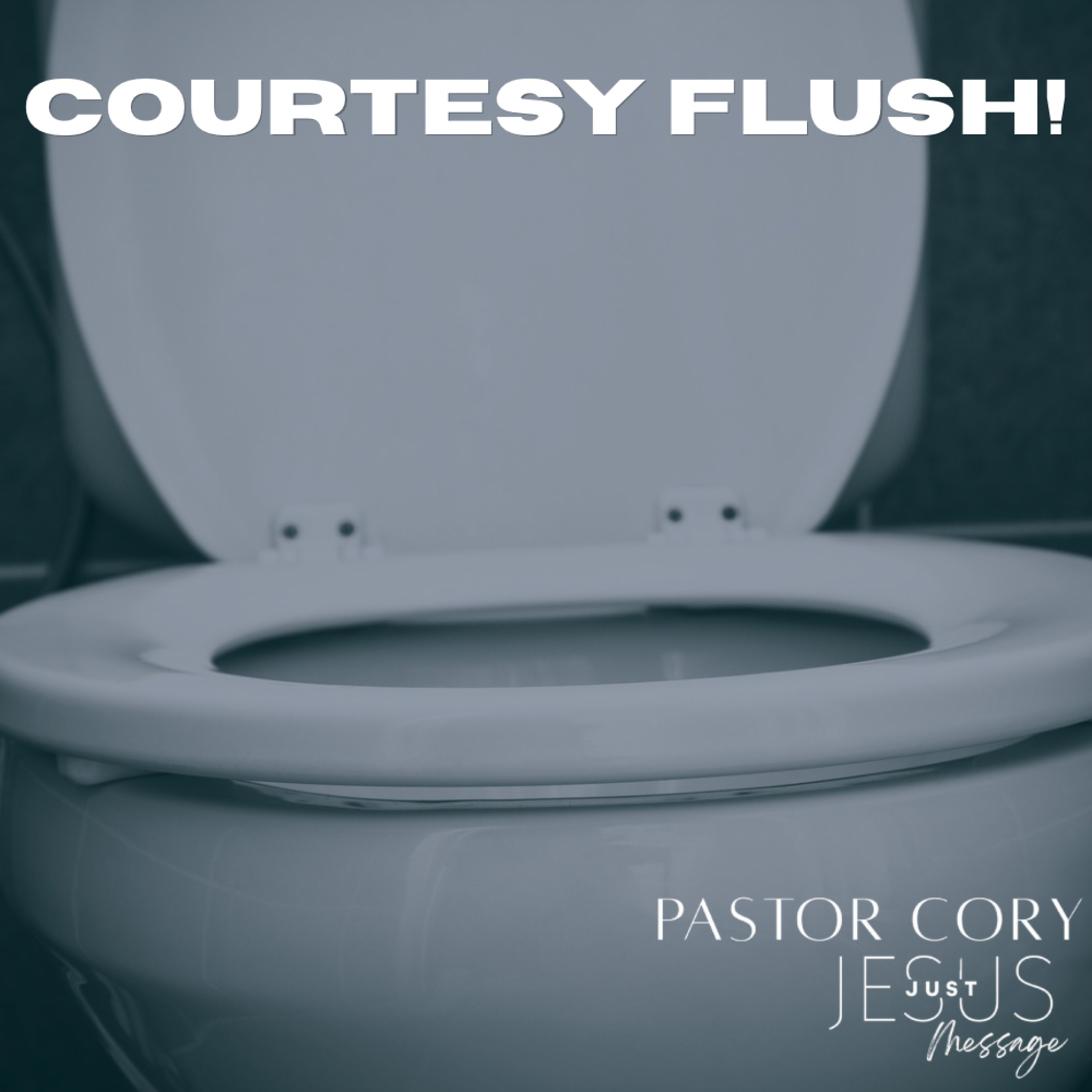 Courtesy Flush! episode artwork