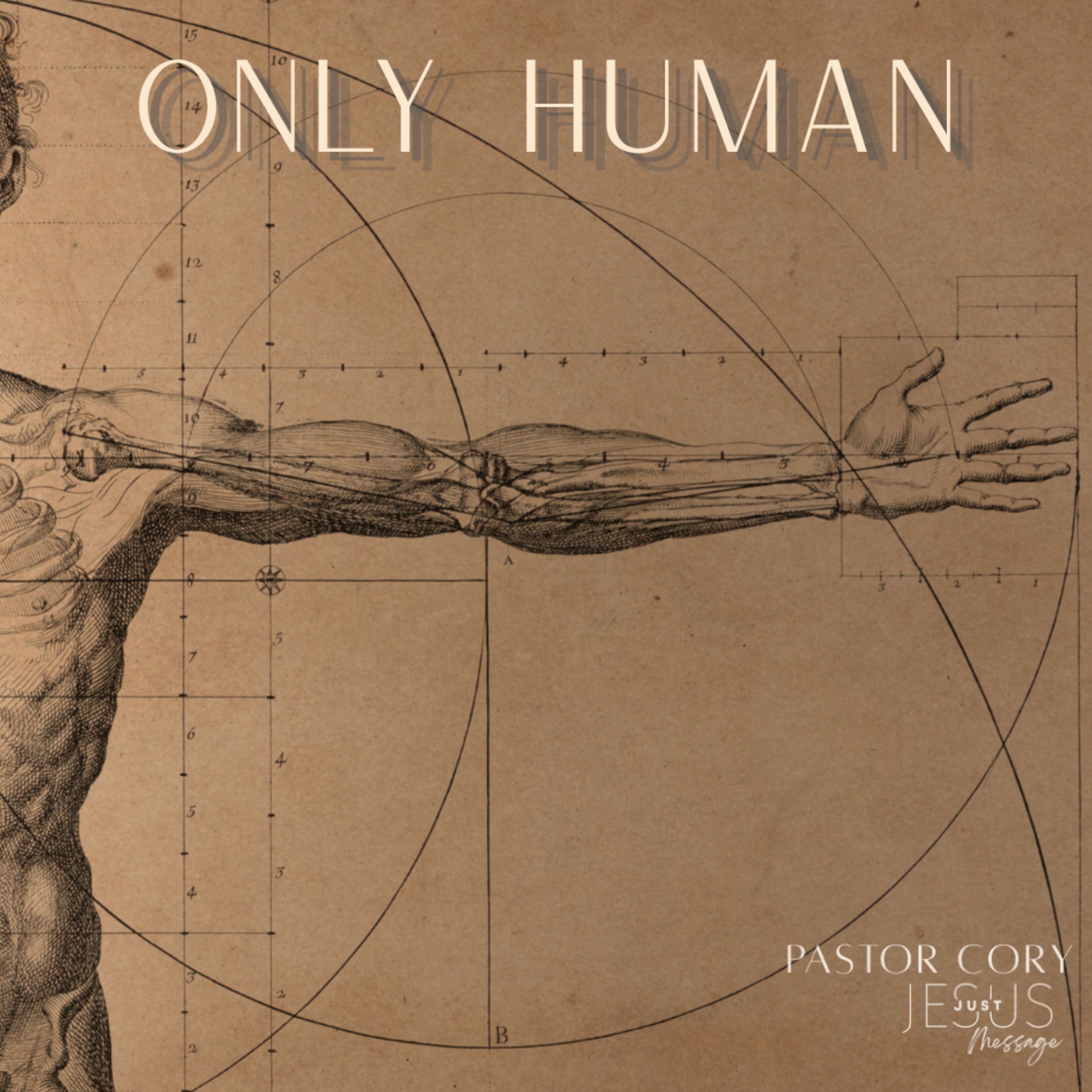 Only Human episode artwork