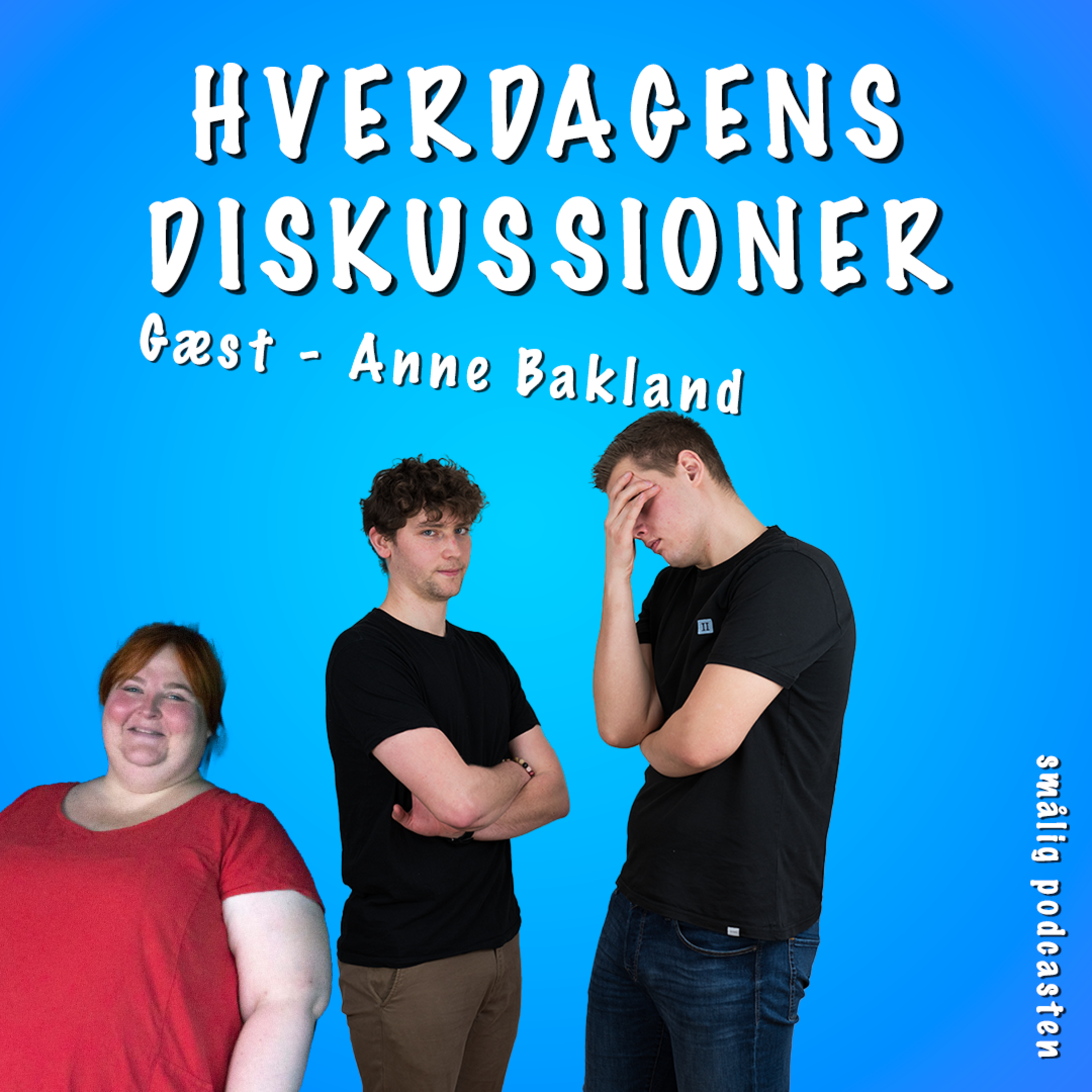 Hverdagens Diskussioner