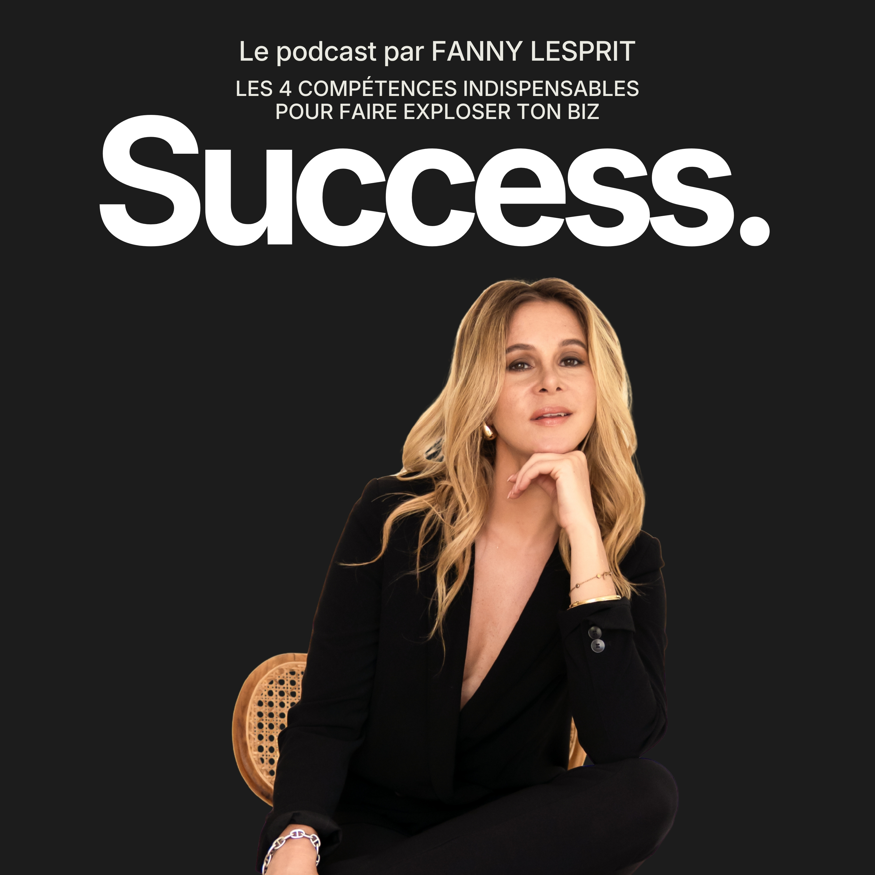  #163 Les 4 compétences INDISPENSABLES pour faire exploser ton biz episode artwork