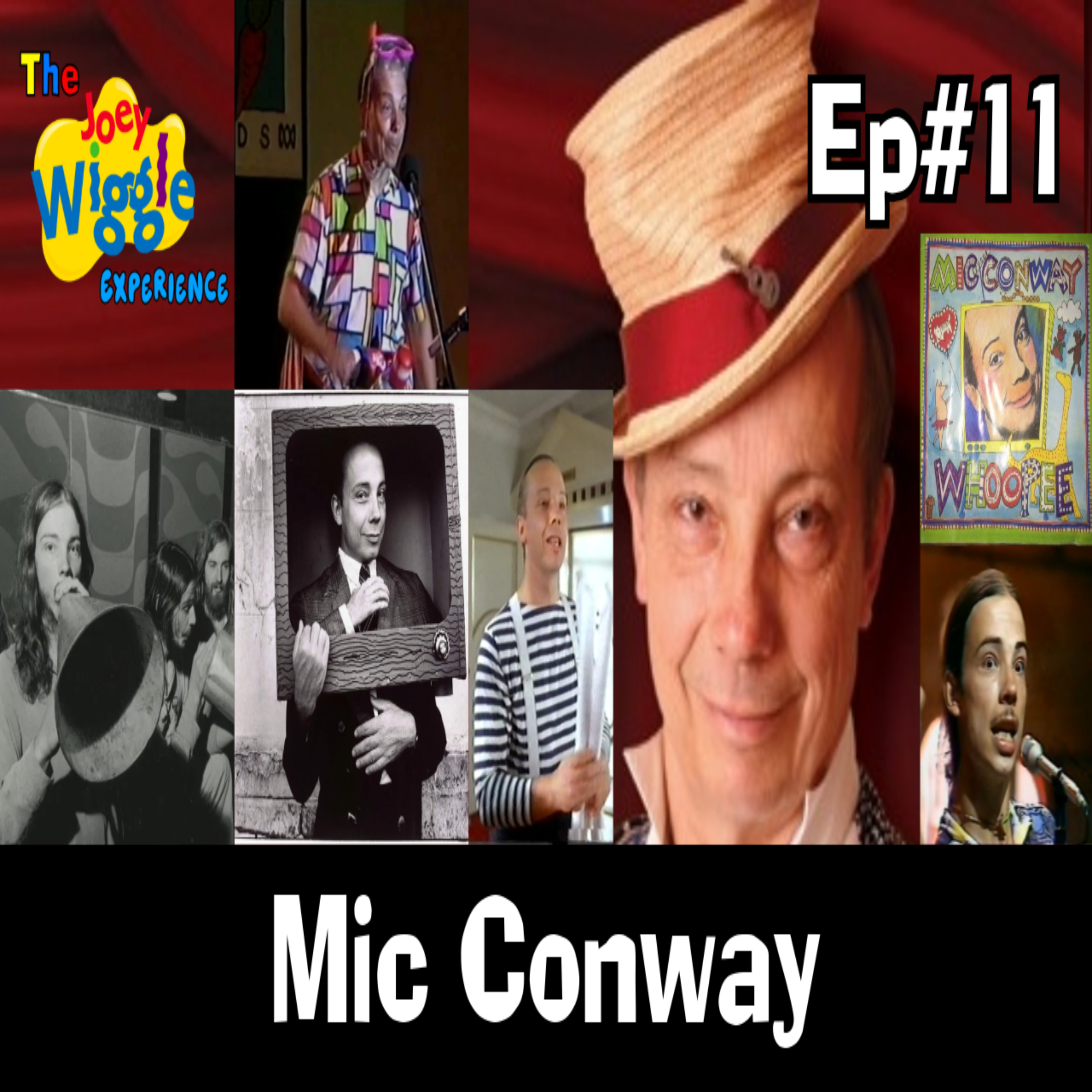 The Joey Wiggle Experience