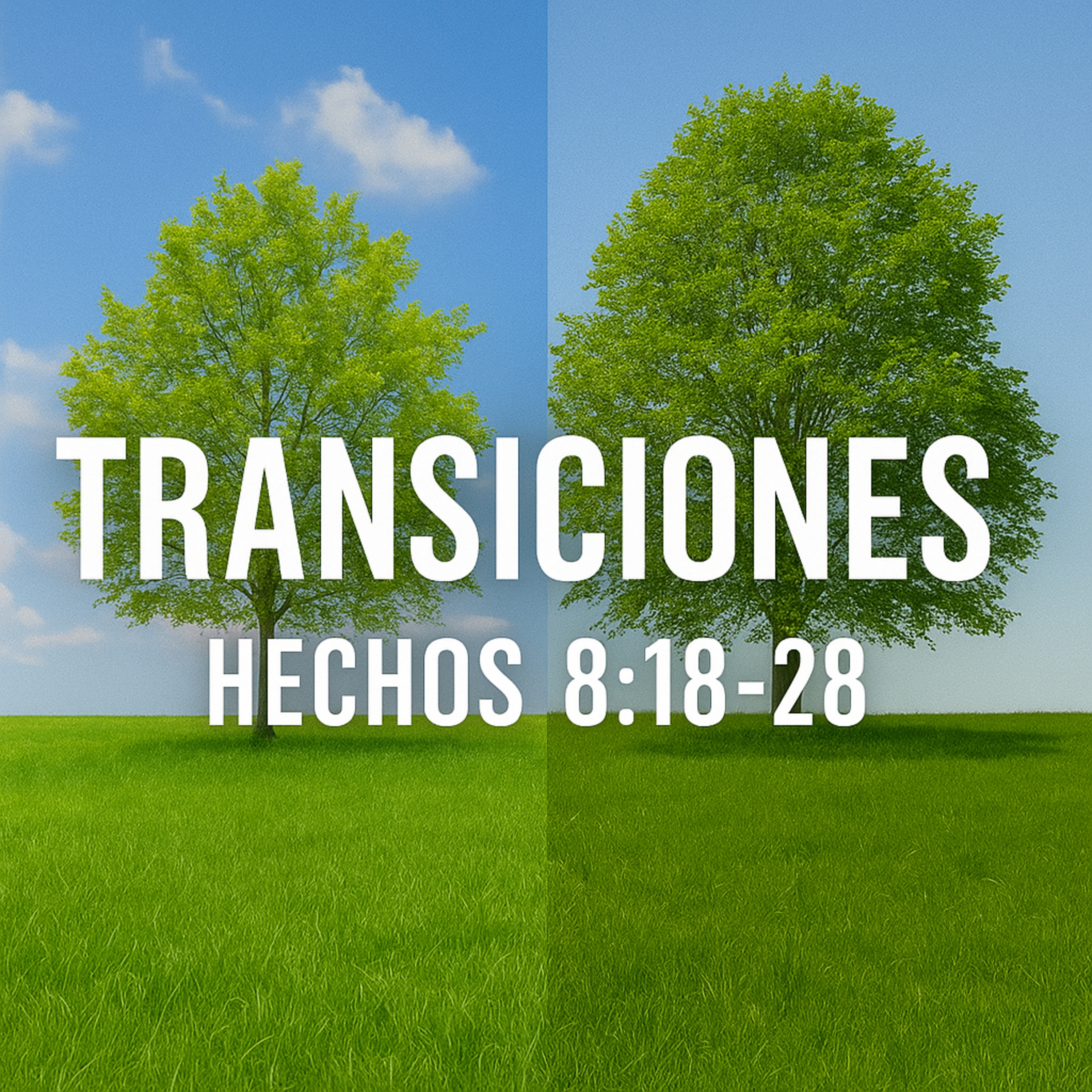 Las predicaciones de Ekklesia