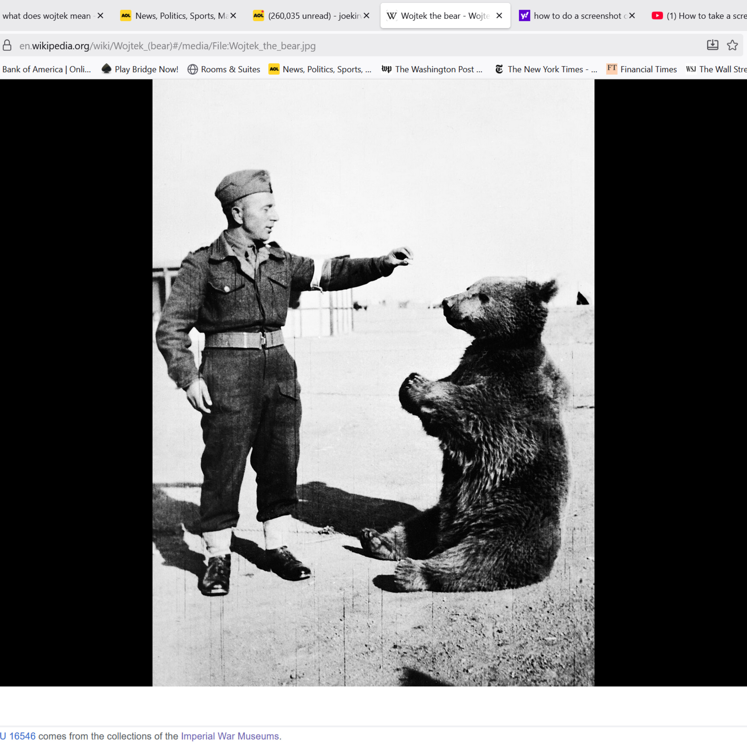 Pet therapy, comic relief, military asset: Wojtek the bear was the Polish Army's secret weapon in Italy - Part 3 episode artwork