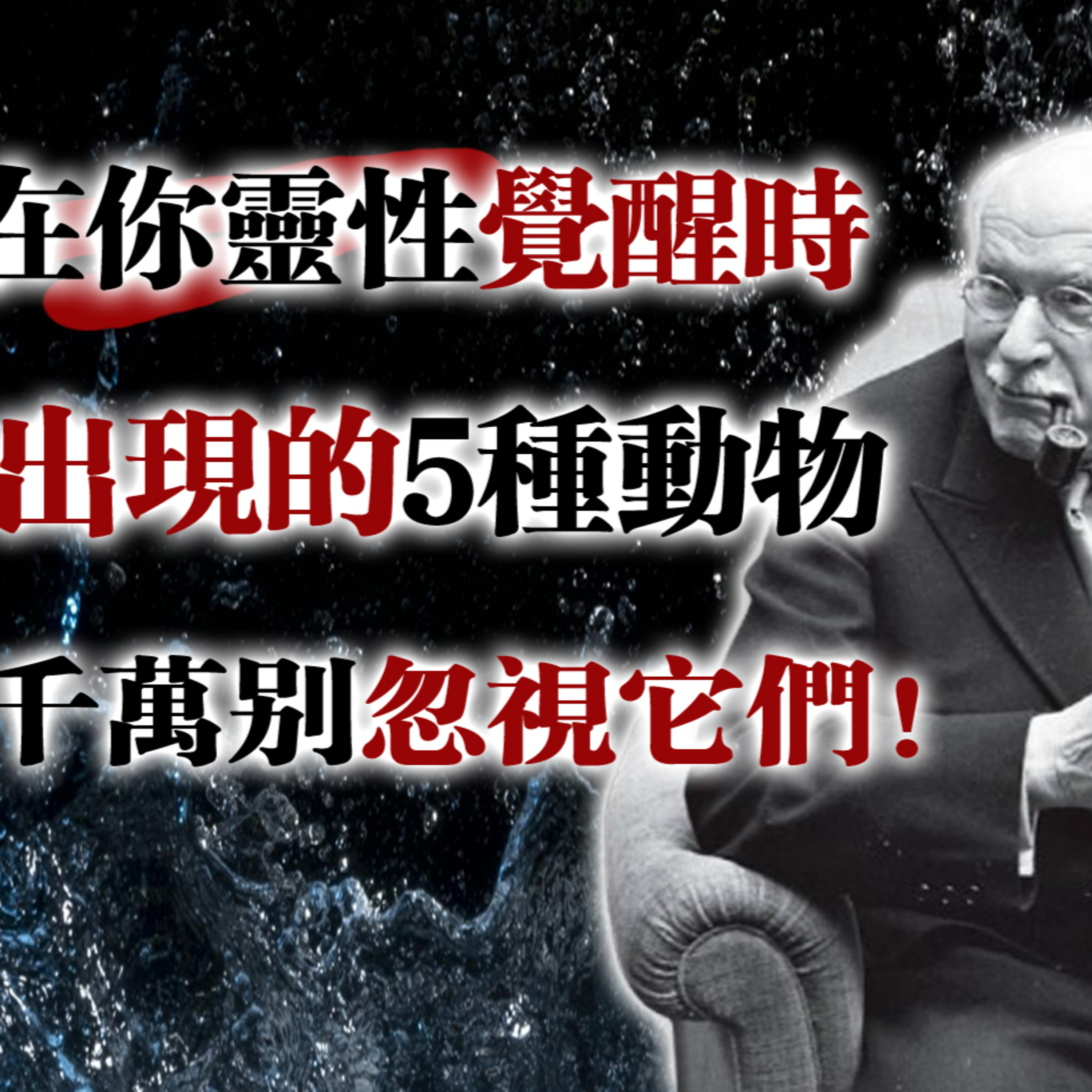 在你靈性覺醒時出現的5種動物，千萬別忽視它們！#靈性覺醒 #卡爾榮格 #潛意識 #靈魂成長 #宇宙訊息 #靈性動物 #心靈覺察 episode artwork