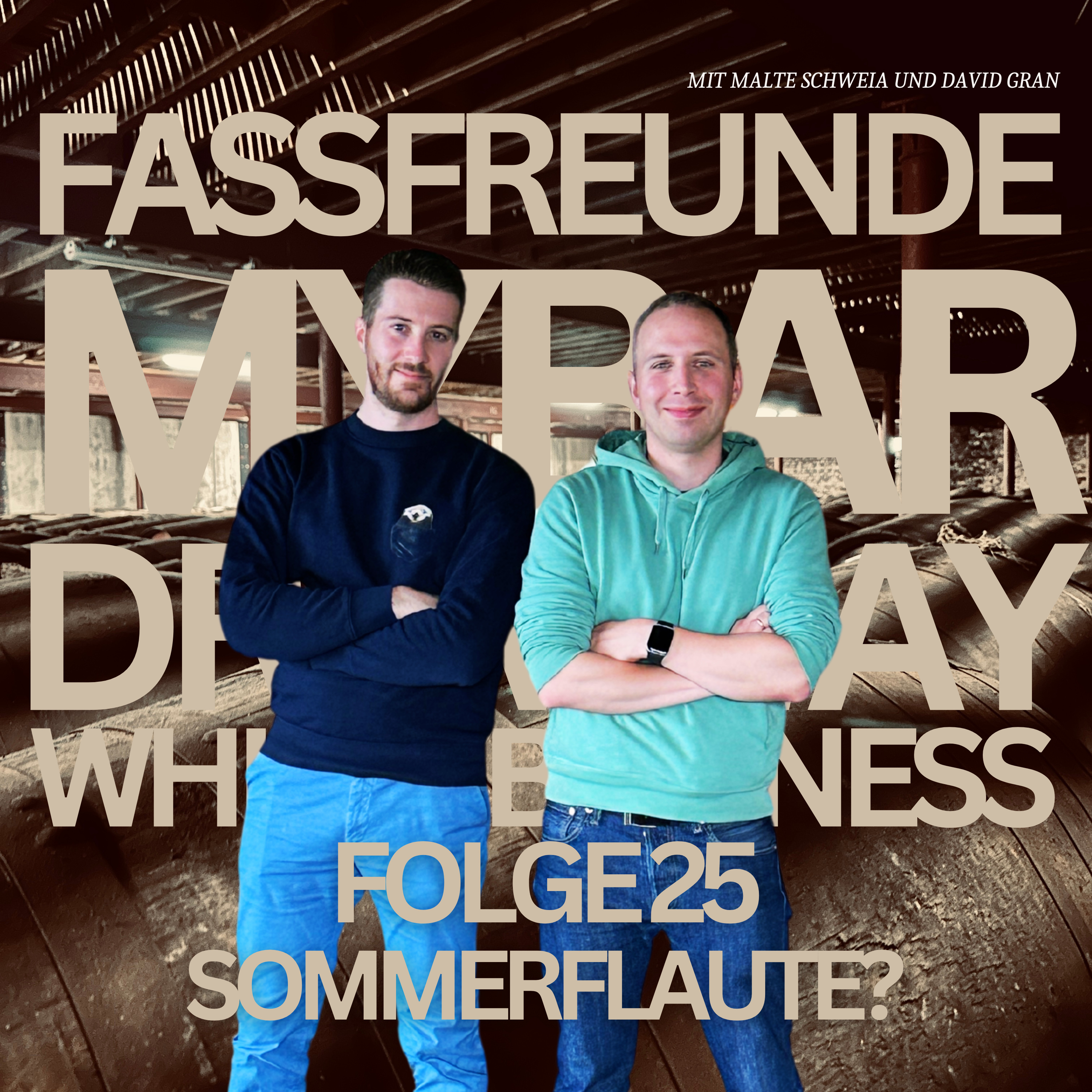 Folge 25: Kommt jetzt die Sommerflaute? episode artwork