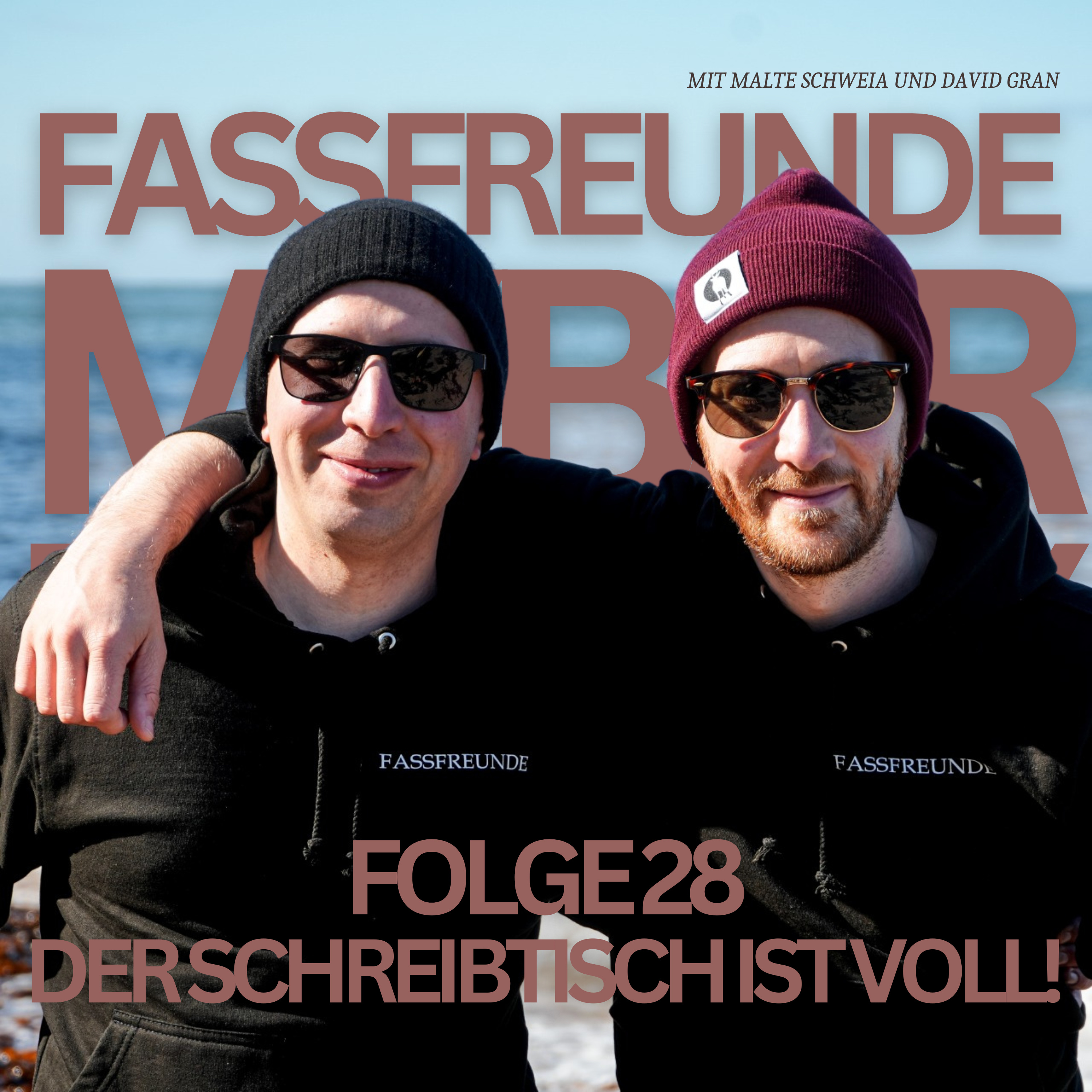 Folge 28: Der Schreibtisch ist voll! episode artwork