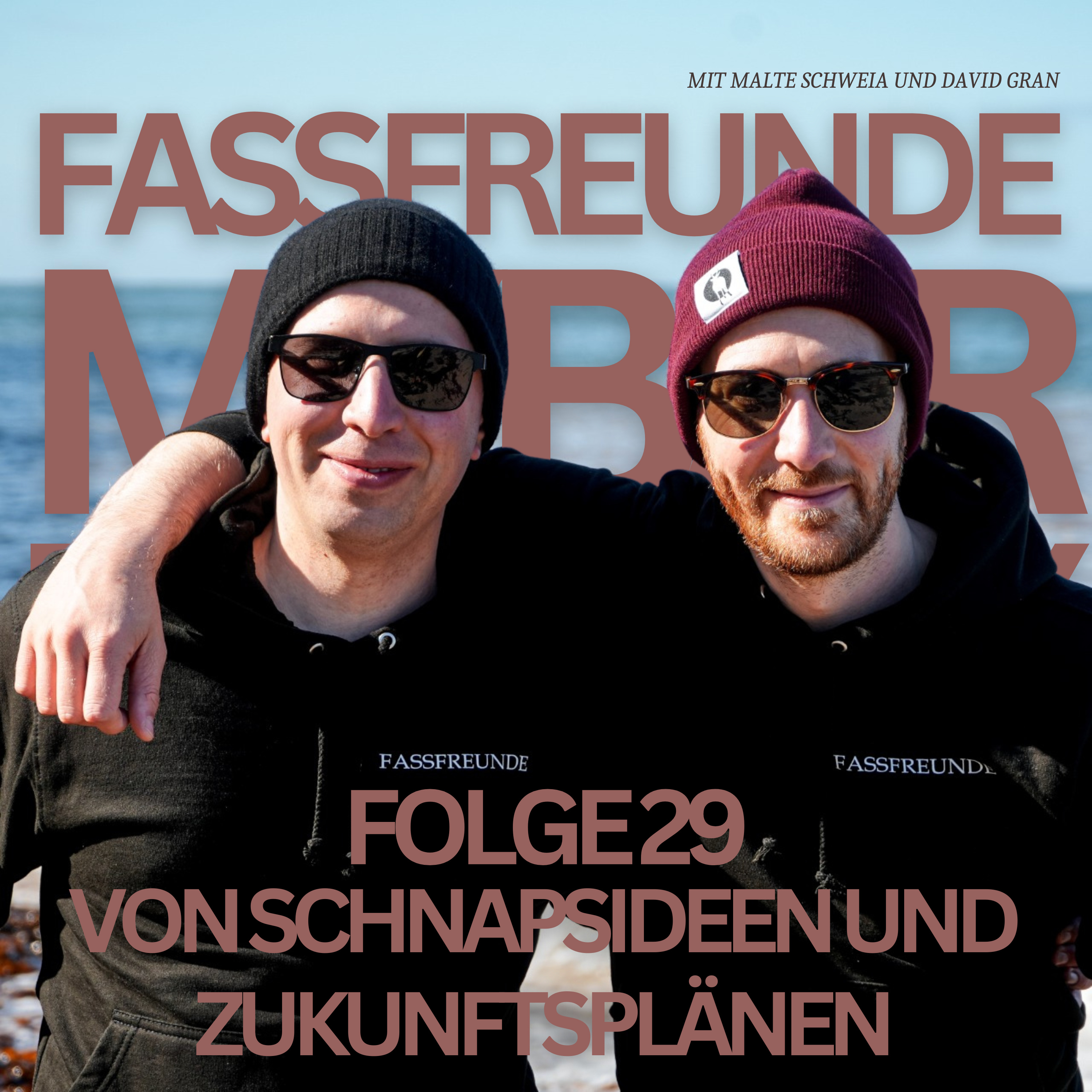 Folge 29: Von Schnapsideen und Zukunftsplänen episode artwork
