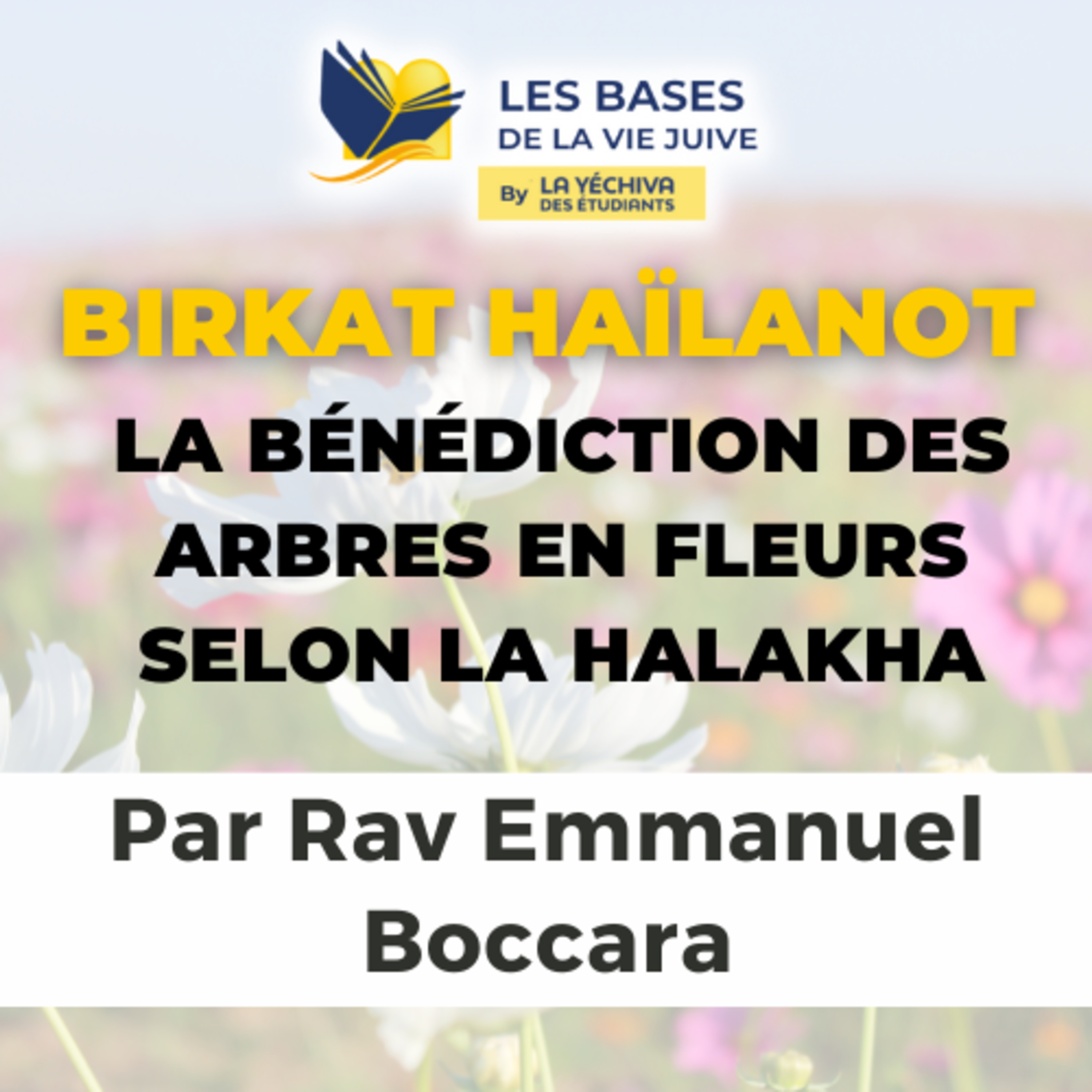 Birkat Haïlanot : La bénédiction des arbres en fleurs selon la Halakha (réédition)