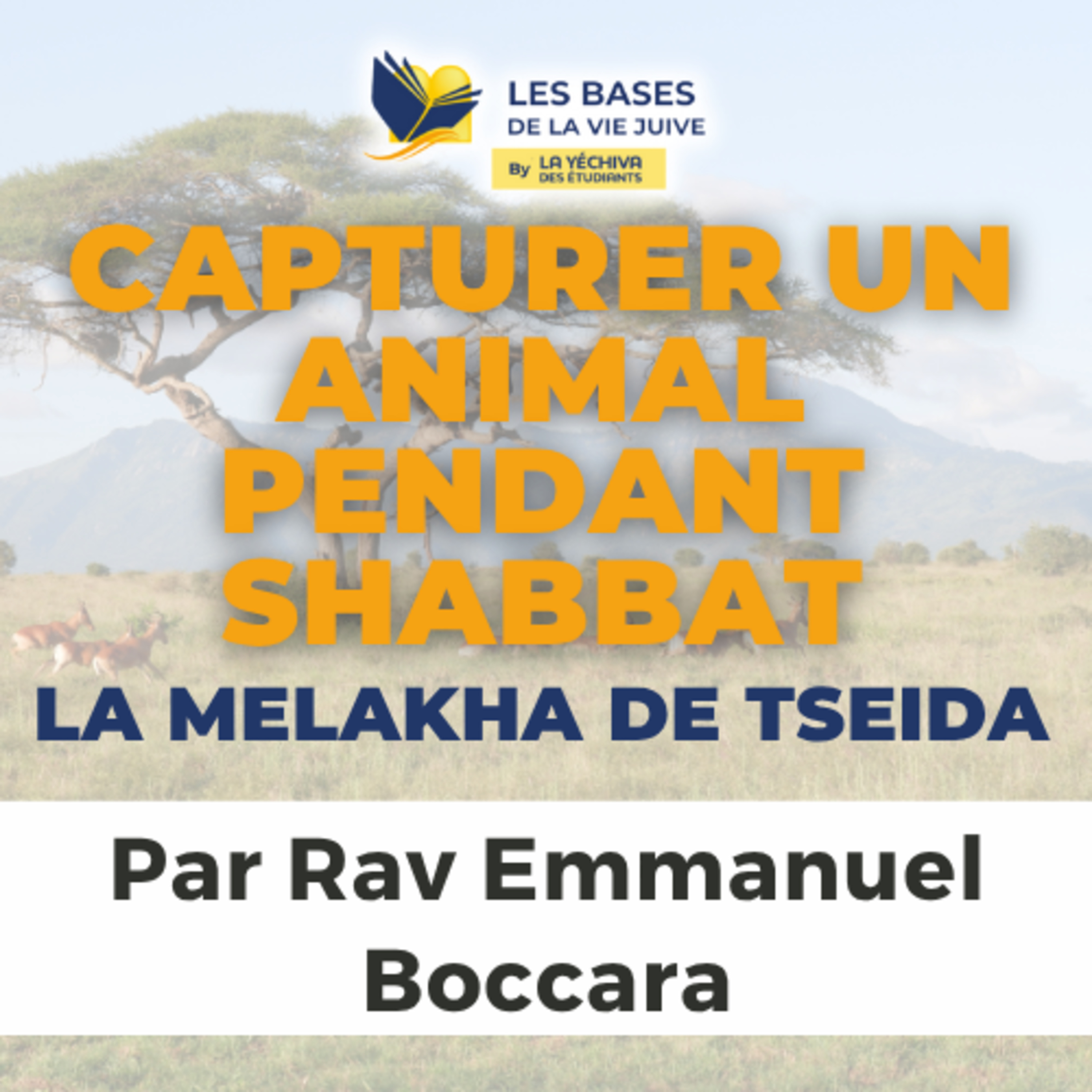 Capturer un animal pendant Shabbat - La Melakha de Tseida