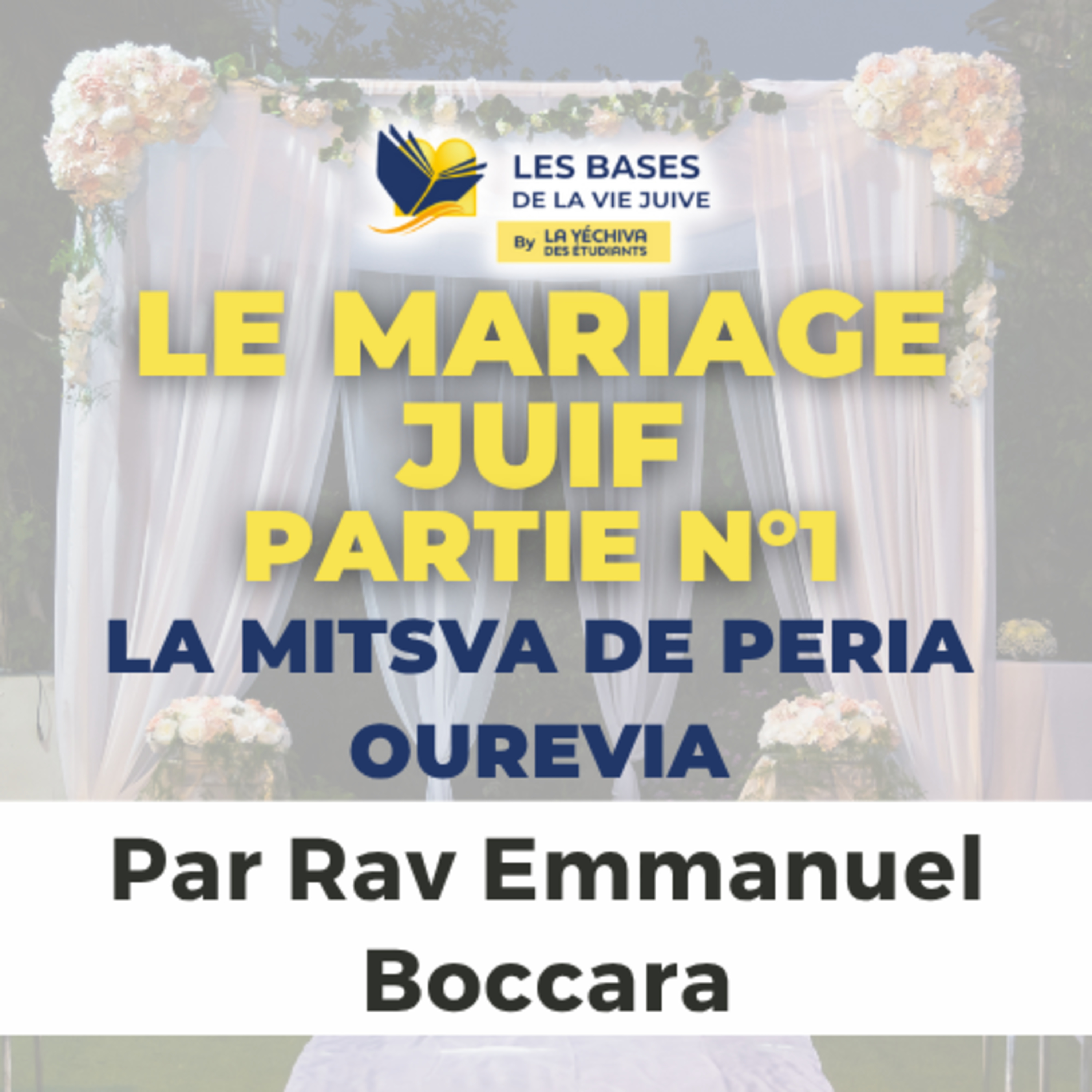 Le mariage juif - La Mitsva de Peria ouRevia, 1ère partie