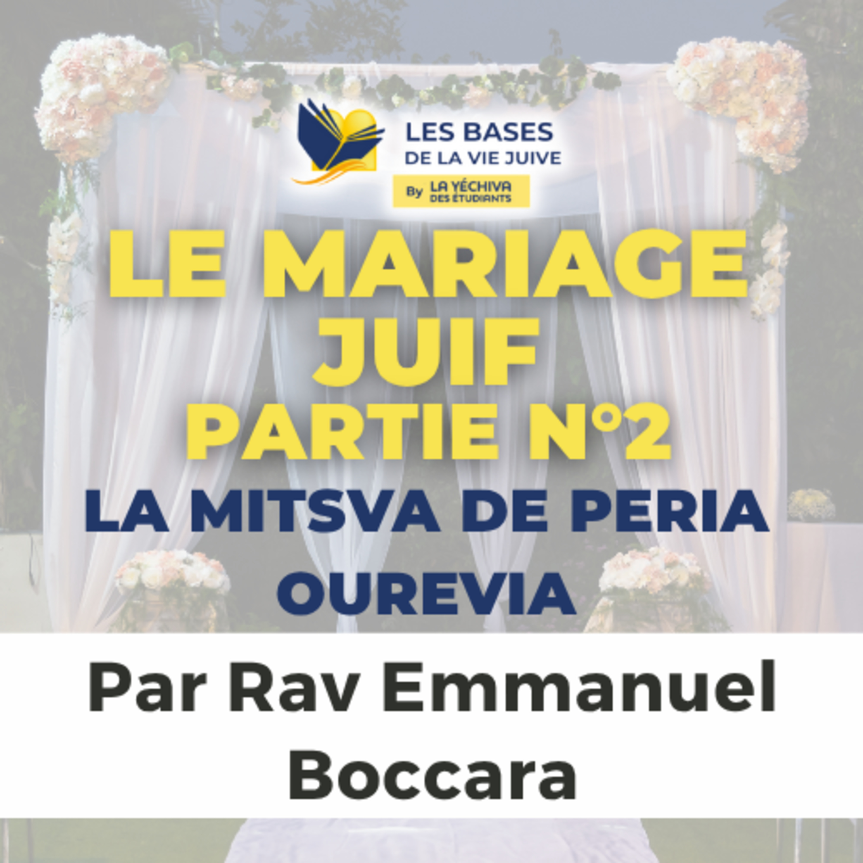 Le mariage juif - La Mitsva de Peria ouRevia, 2ème partie