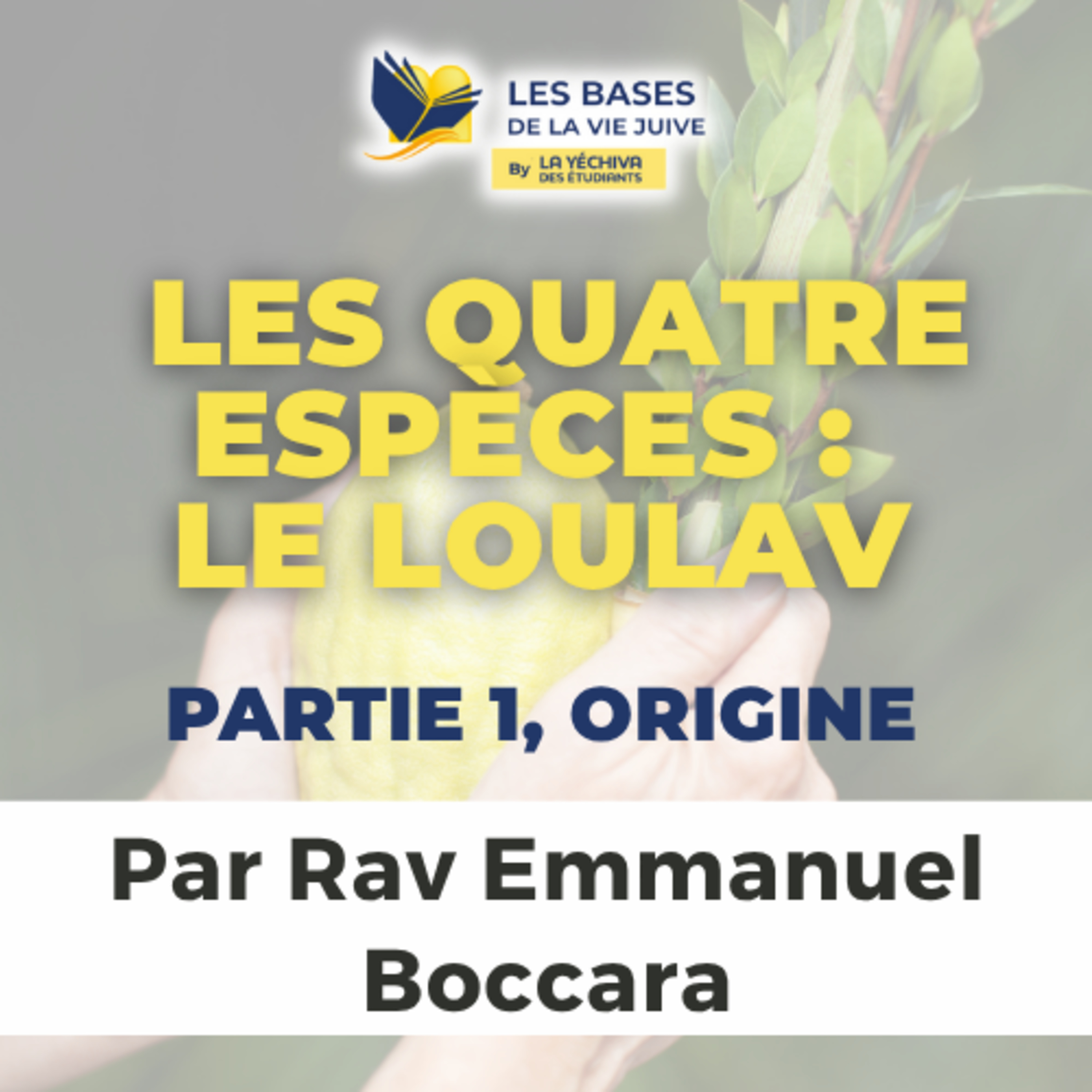 Les quatre espèces - le Loulav, partie 1, Origine