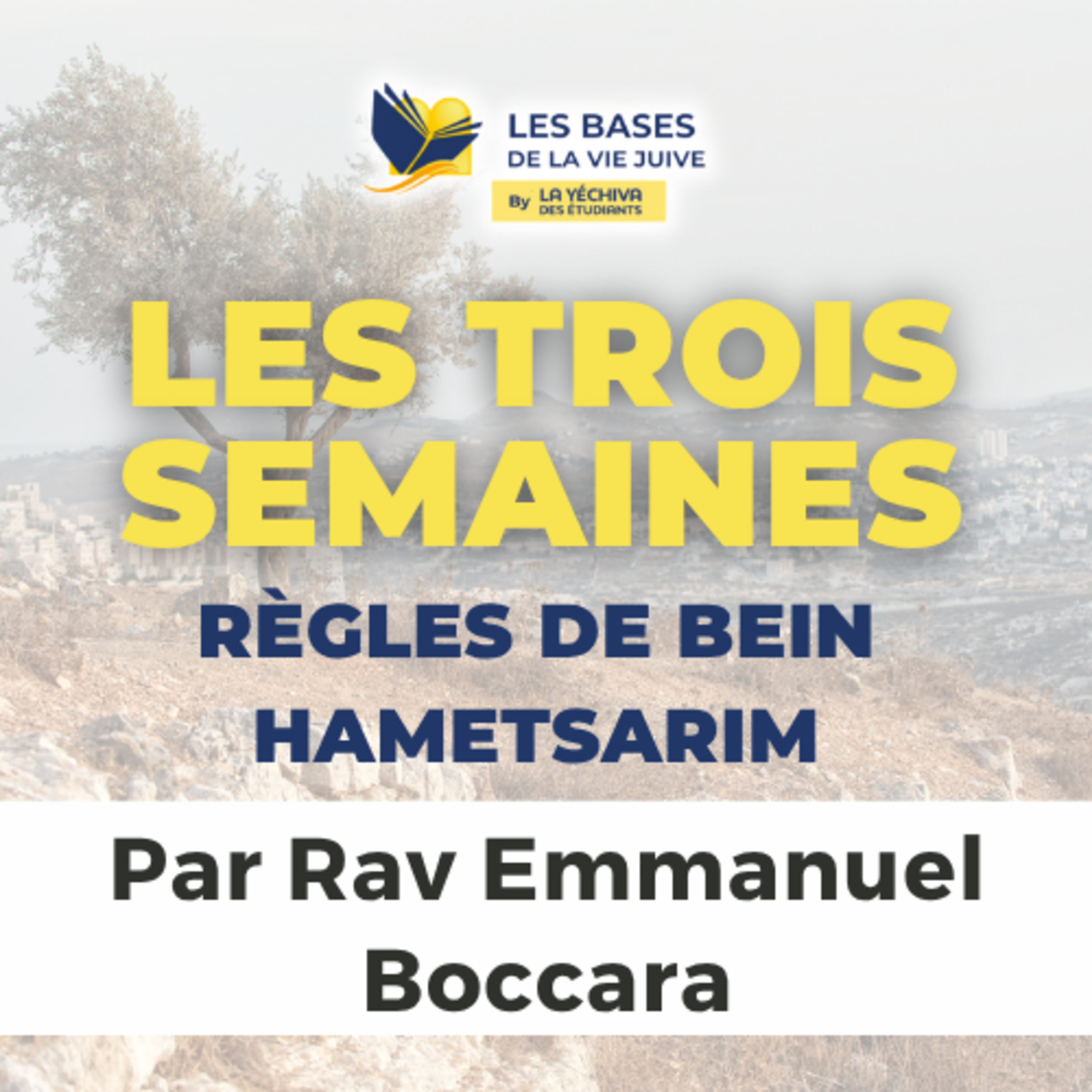 Les trois semaines, règles de Bein Hametsarim (Deuxième édition)