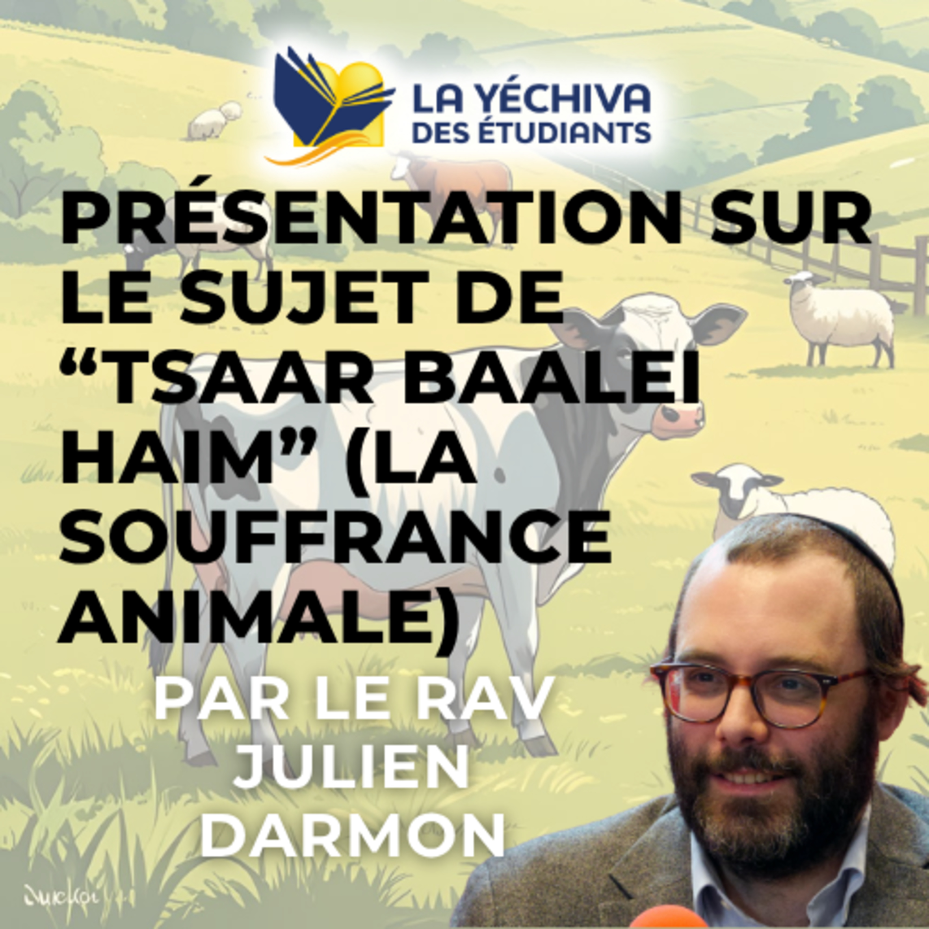 Présentation sur le sujet de Tsaar Baalei Haim "צער בעלי חיים" (la souffrance animale) episode artwork