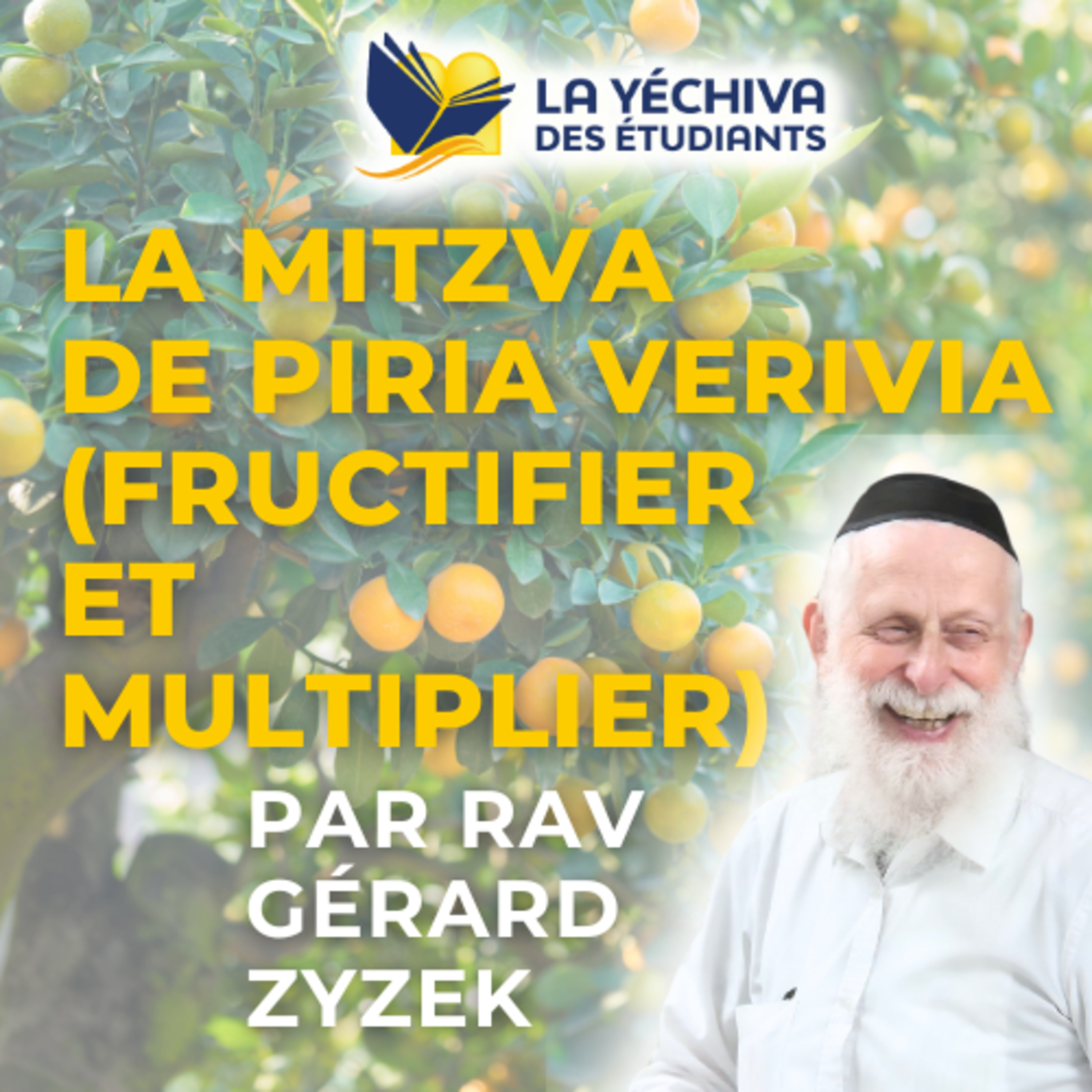 La mitzva de Piria Verivia (fructifier et multiplier)