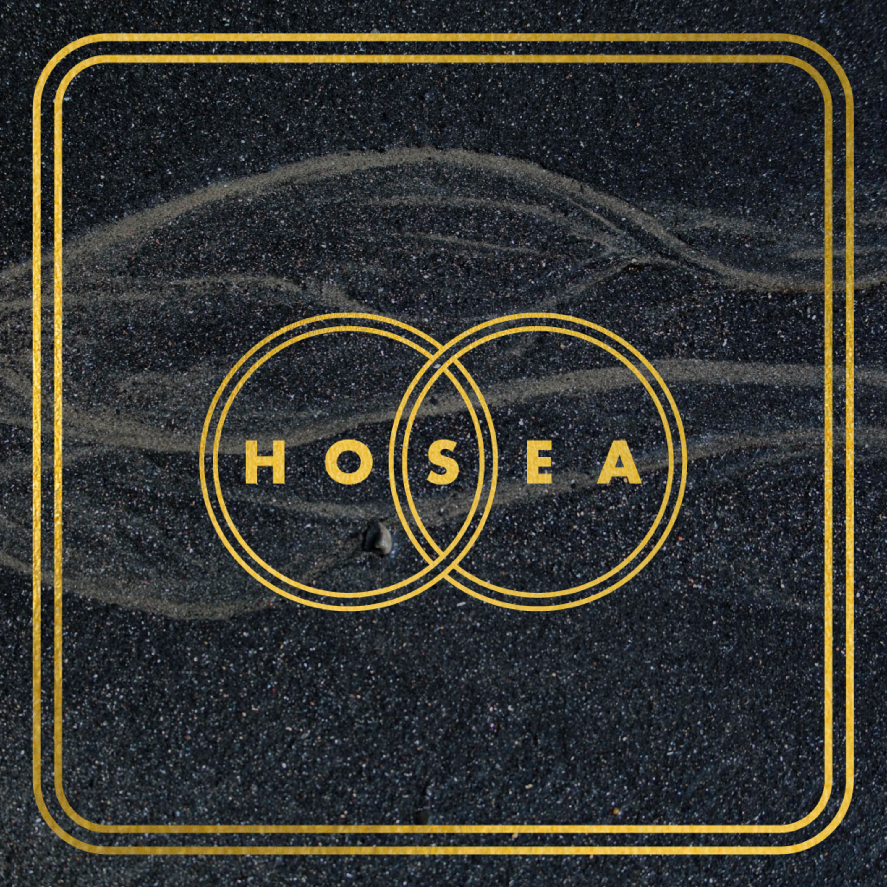 02 | A Marriage - Broken and Restored | HOSEA | Hosea 2 & 3 | Dave Carter episode artwork