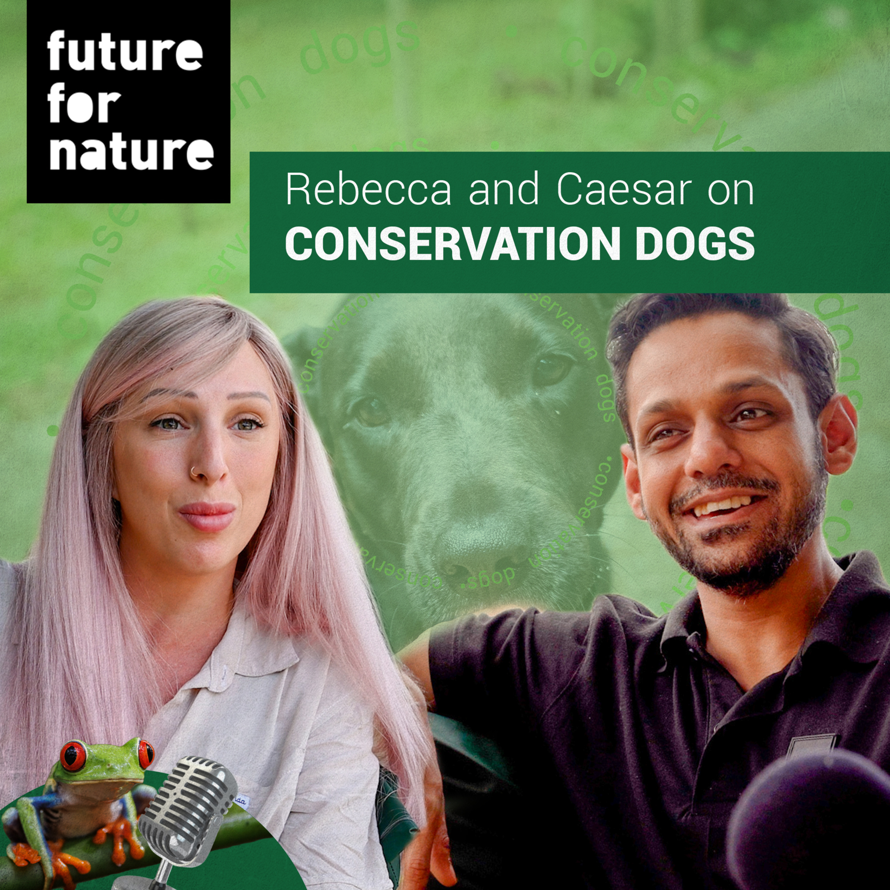 What Are Conservation Dogs and Why Are They So Important? (With Rebecca Cliffe and Caesar Rahman) episode artwork