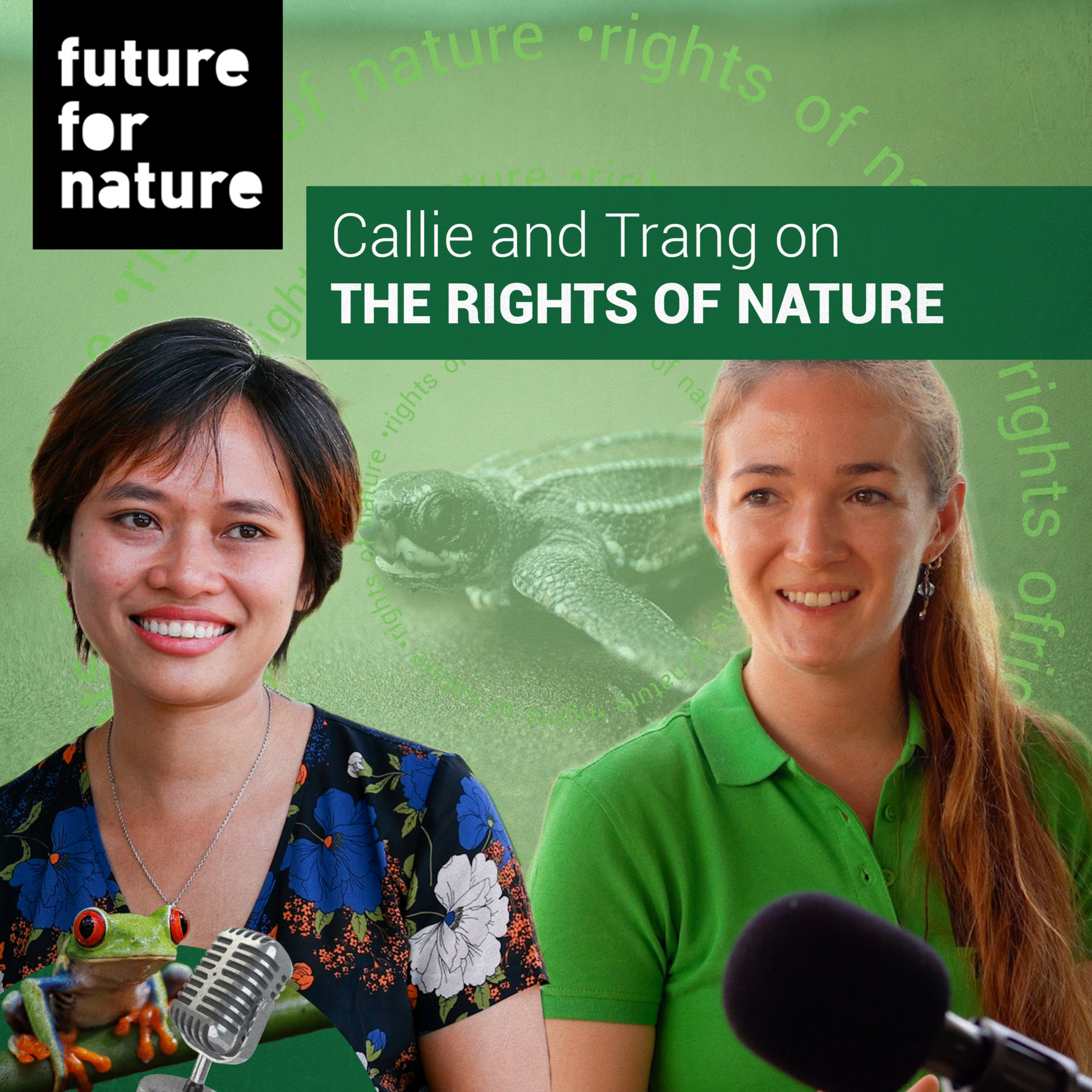 The Rights of Nature: Can Laws Protect Nature? (with Callie Veelenturf and Trang Nguyen