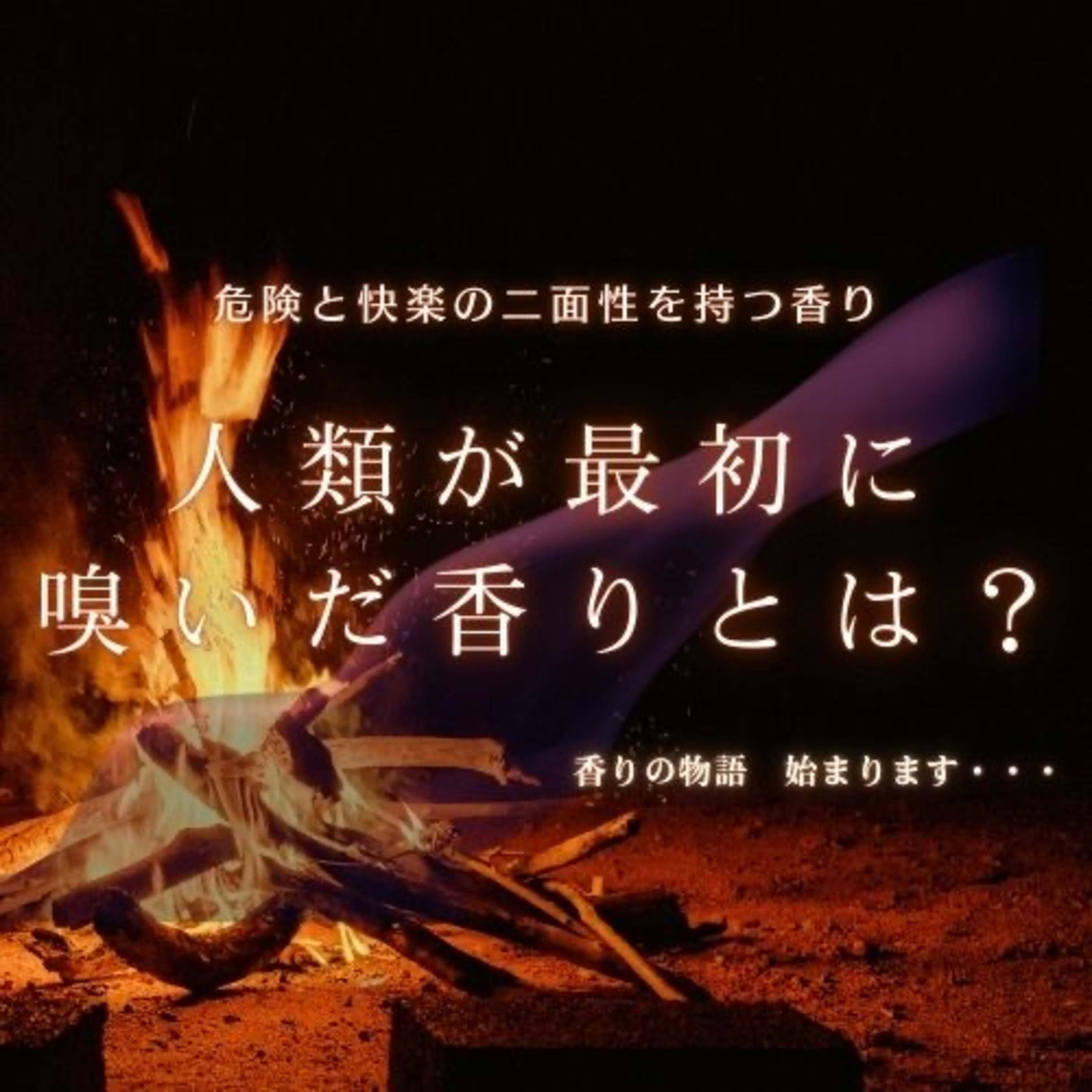 vol.10 Ep.1｜火と香り ― メイラード反応と人類の二面性 episode artwork