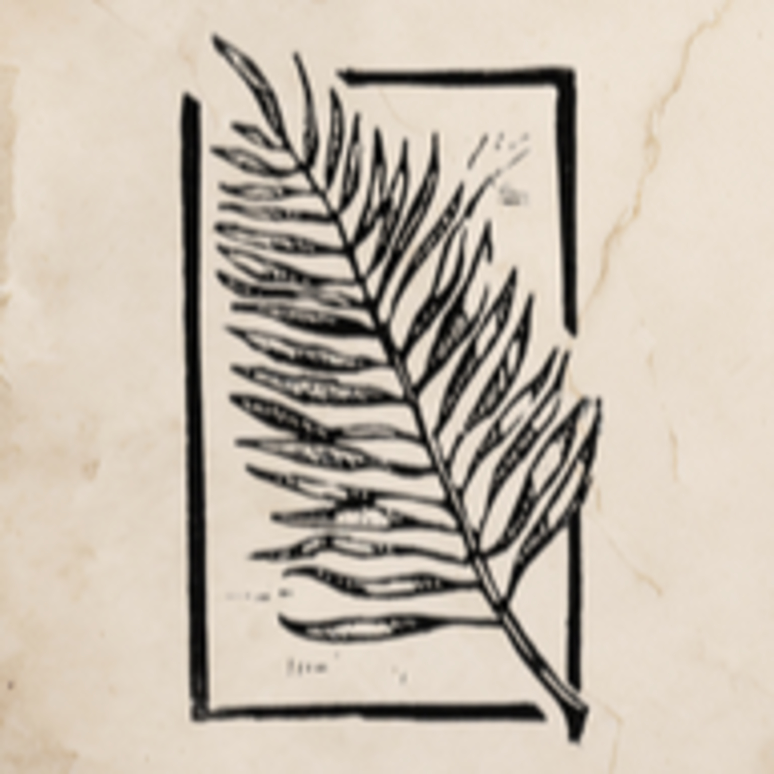 A Donkey and Palm Branches (Symbols of the Kingdom) episode artwork