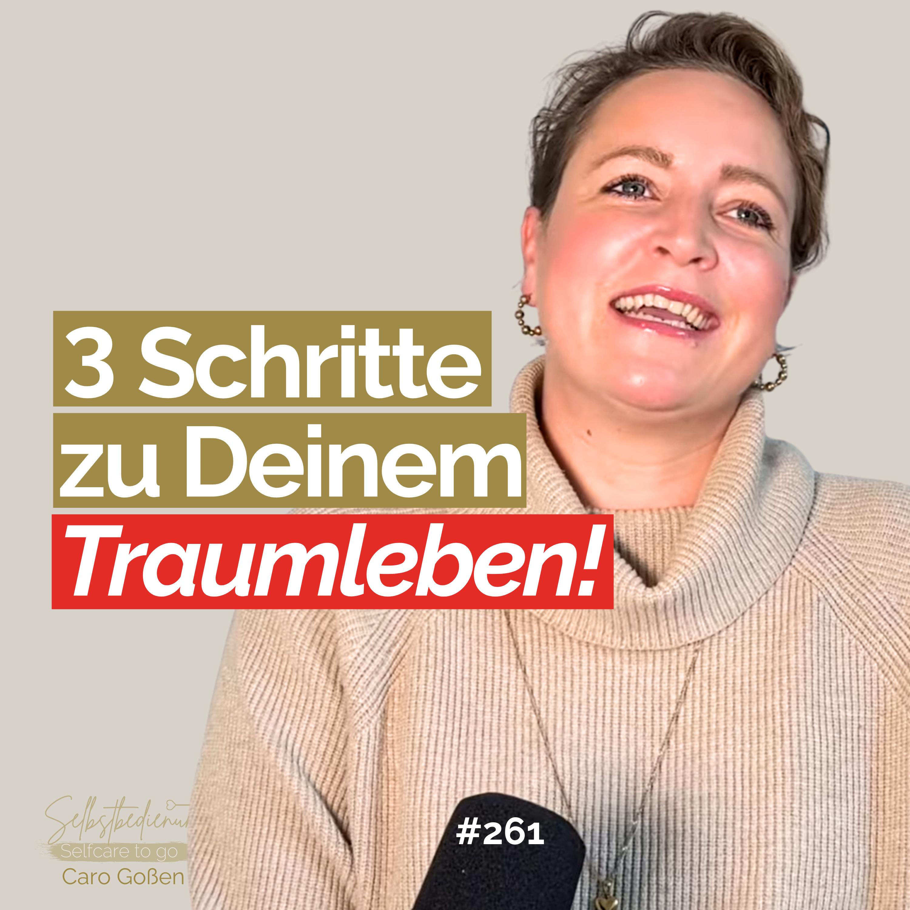 #261 Die 3 wichtigsten Schritte für ein erfülltes Leben! episode artwork